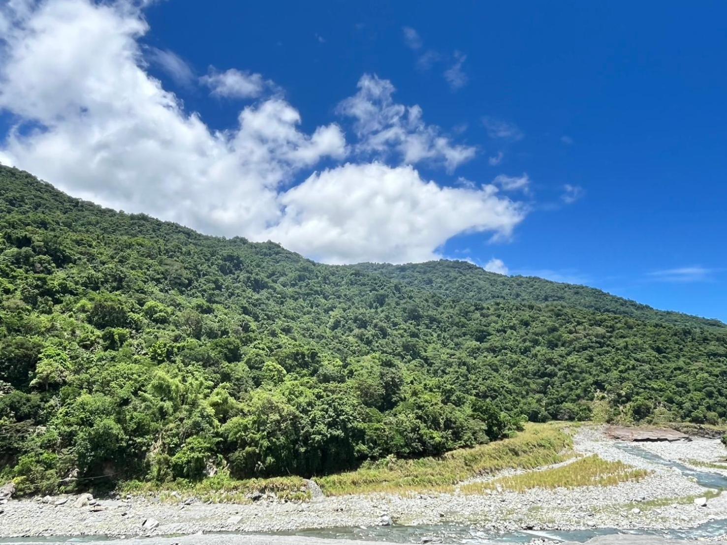 Little Forest Homestay 台東縣民宿第2124號 view 5