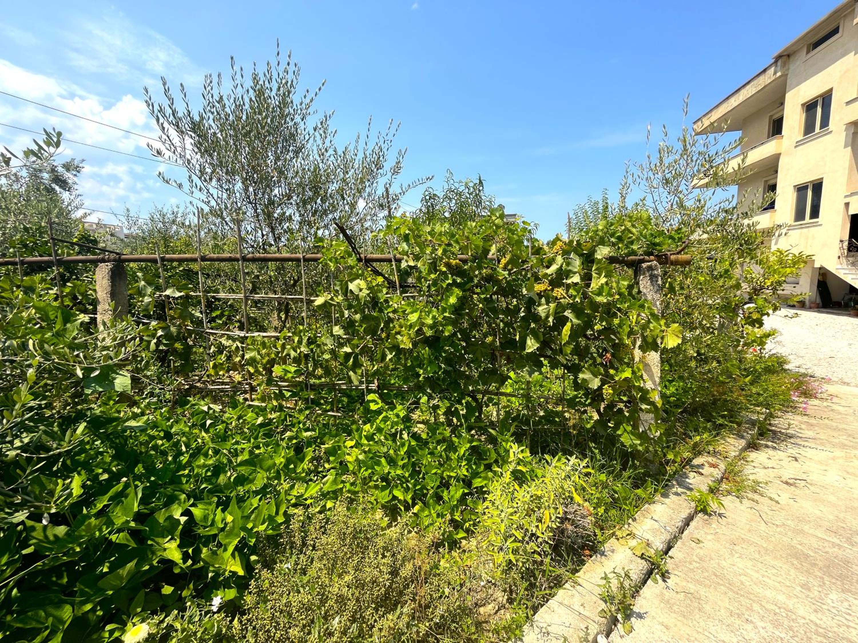Vila 4 Stinet