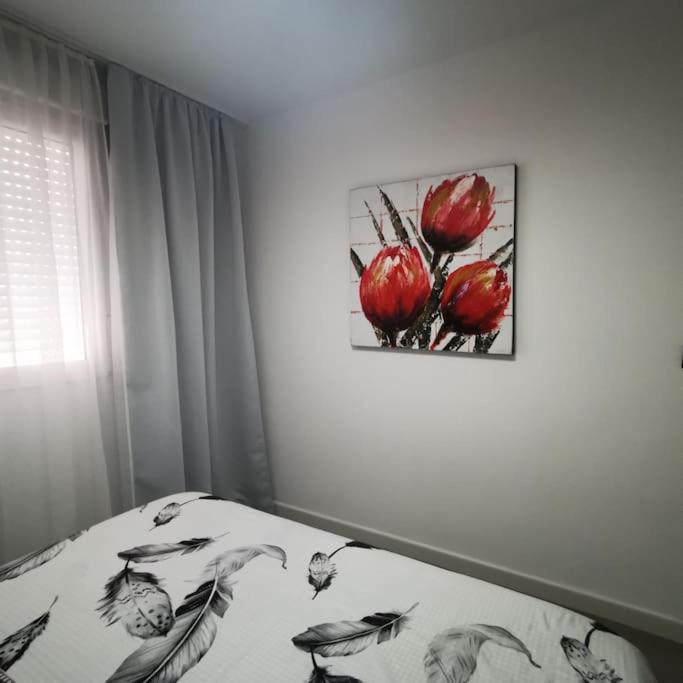 Sunrise-Dream-Del Cura