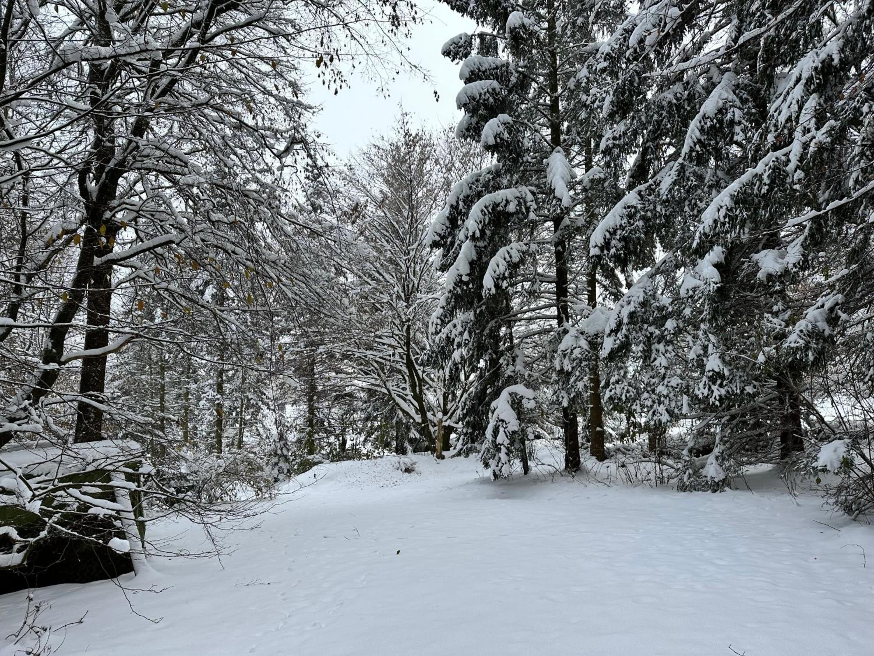 Blockhäusl am Jonsberg
