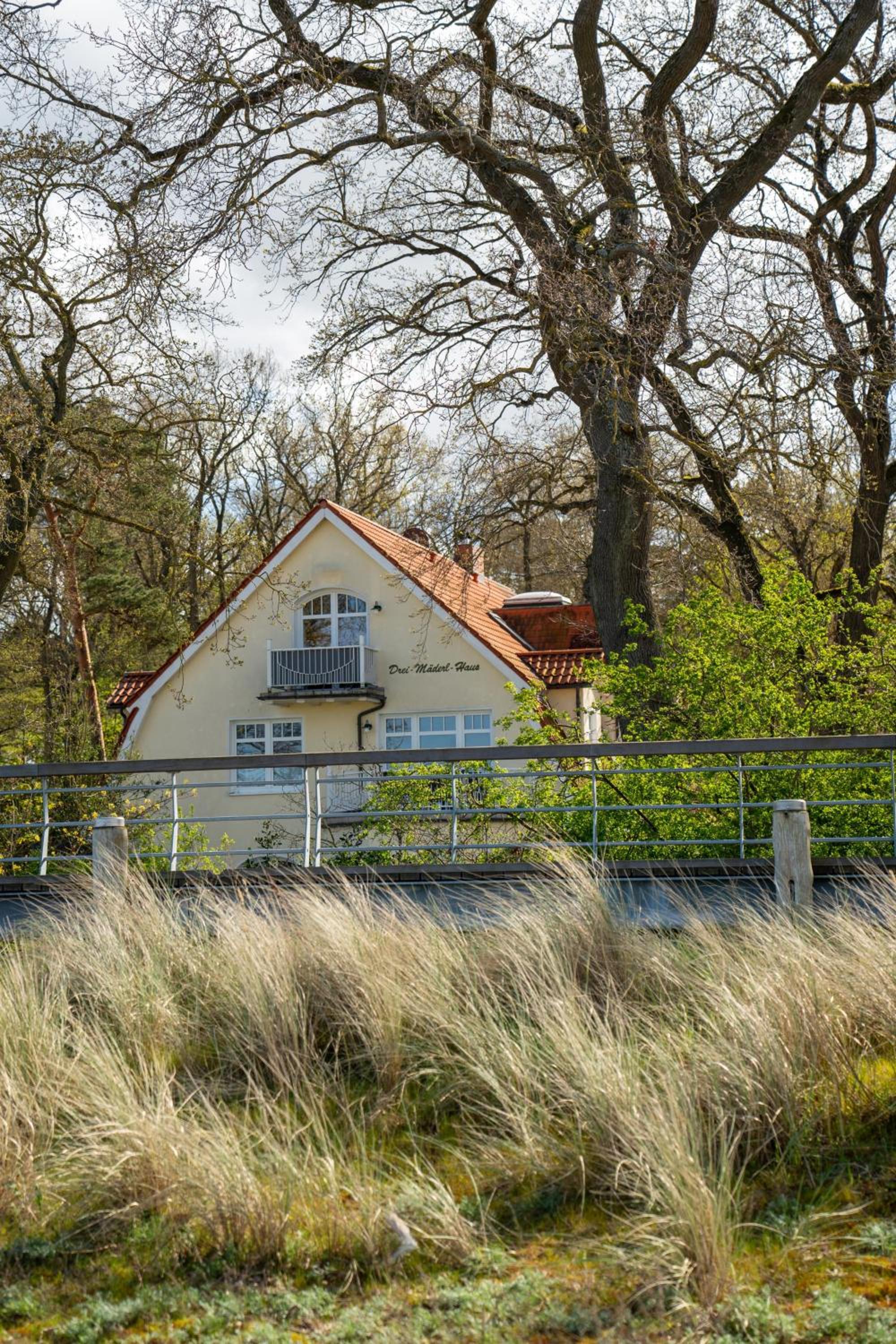 Strandvilla Drei Mäderl Haus view 5