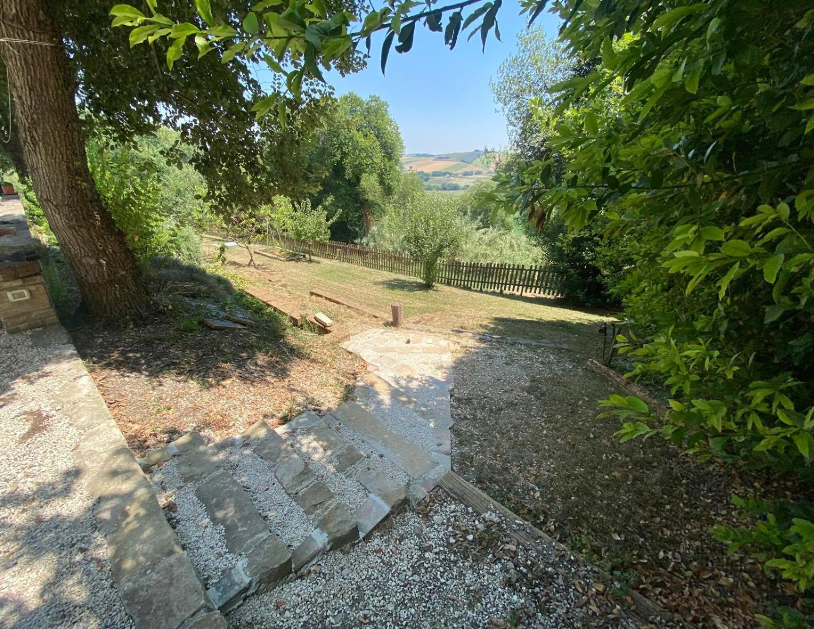 Photo 43