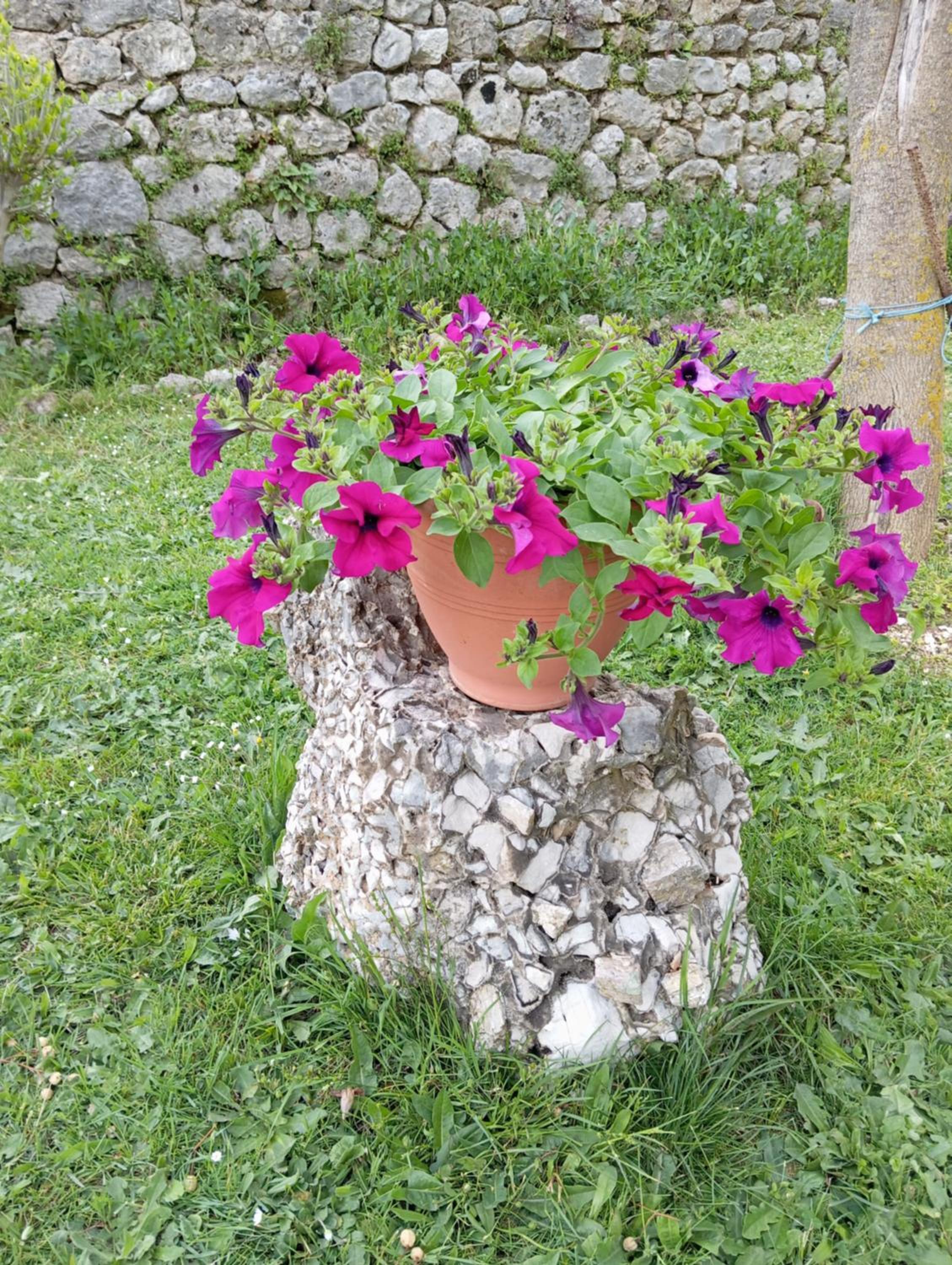 Photo 64