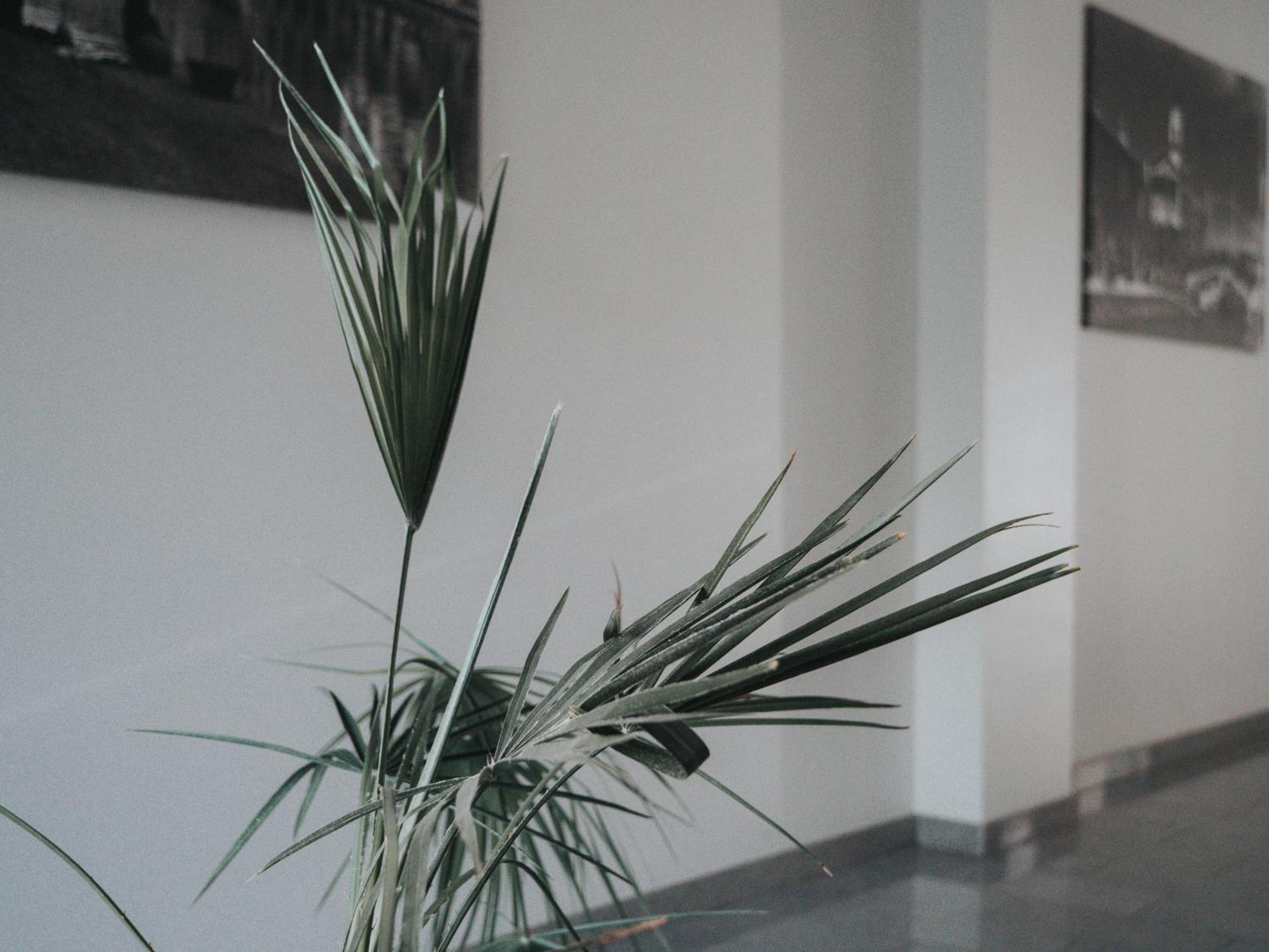 Tolstoi Apartment