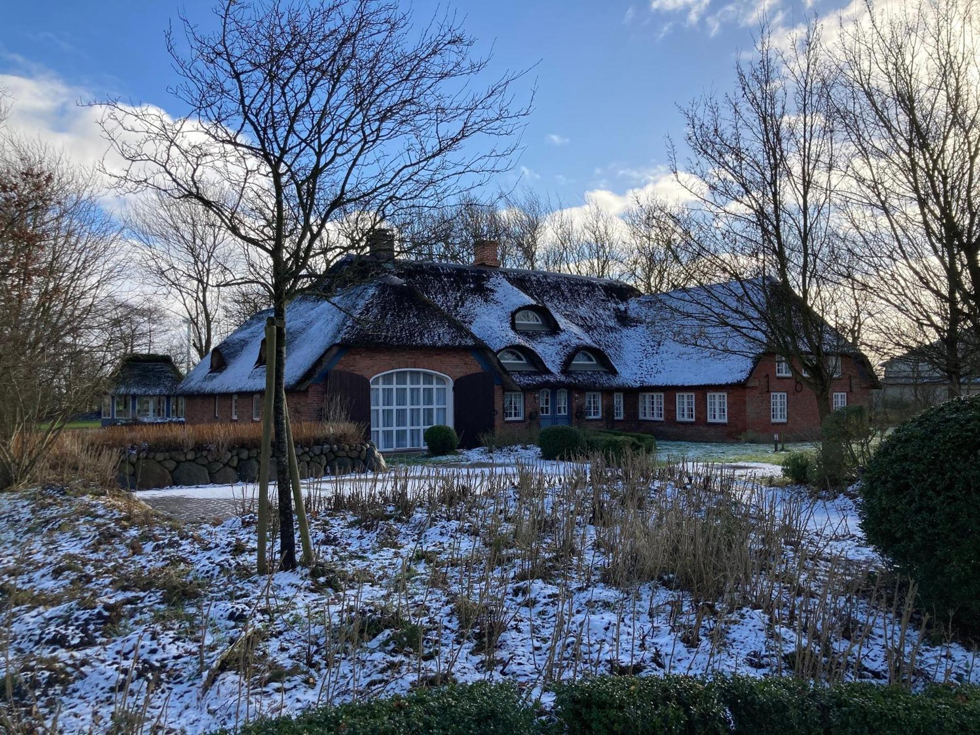 Deichglück Emmelsbüll-Horsbüll