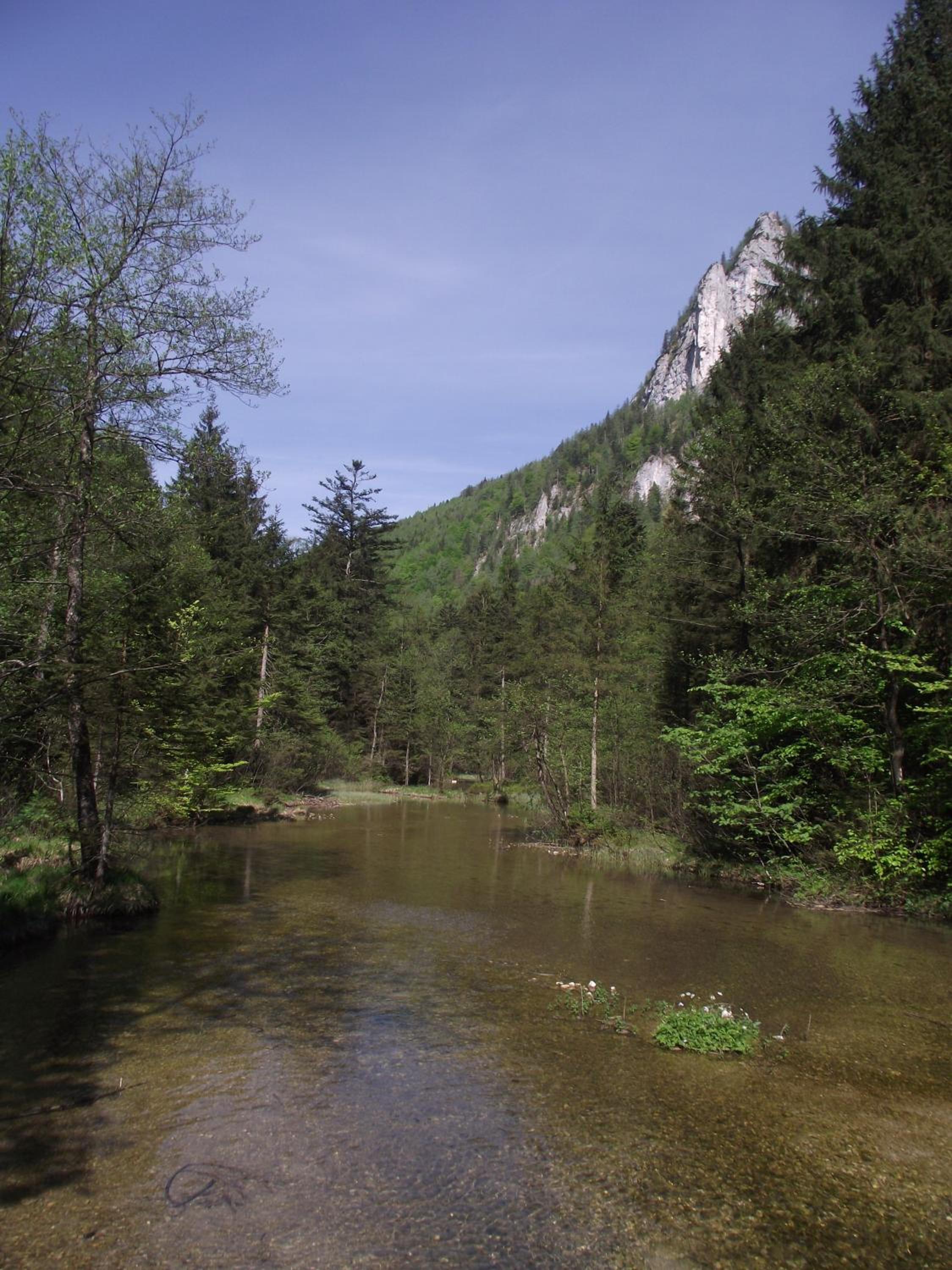 Photo 27