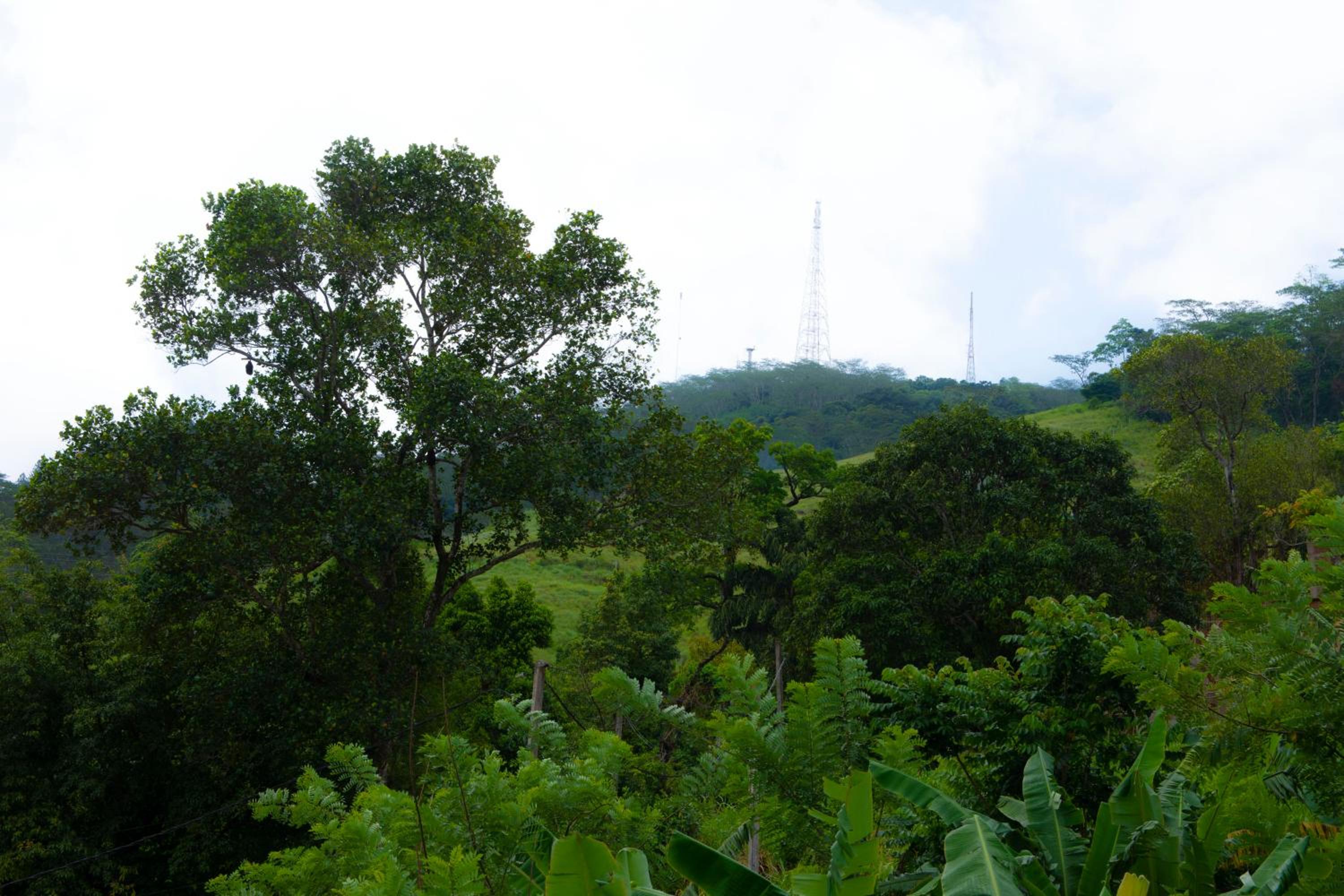 Peaceful Peak