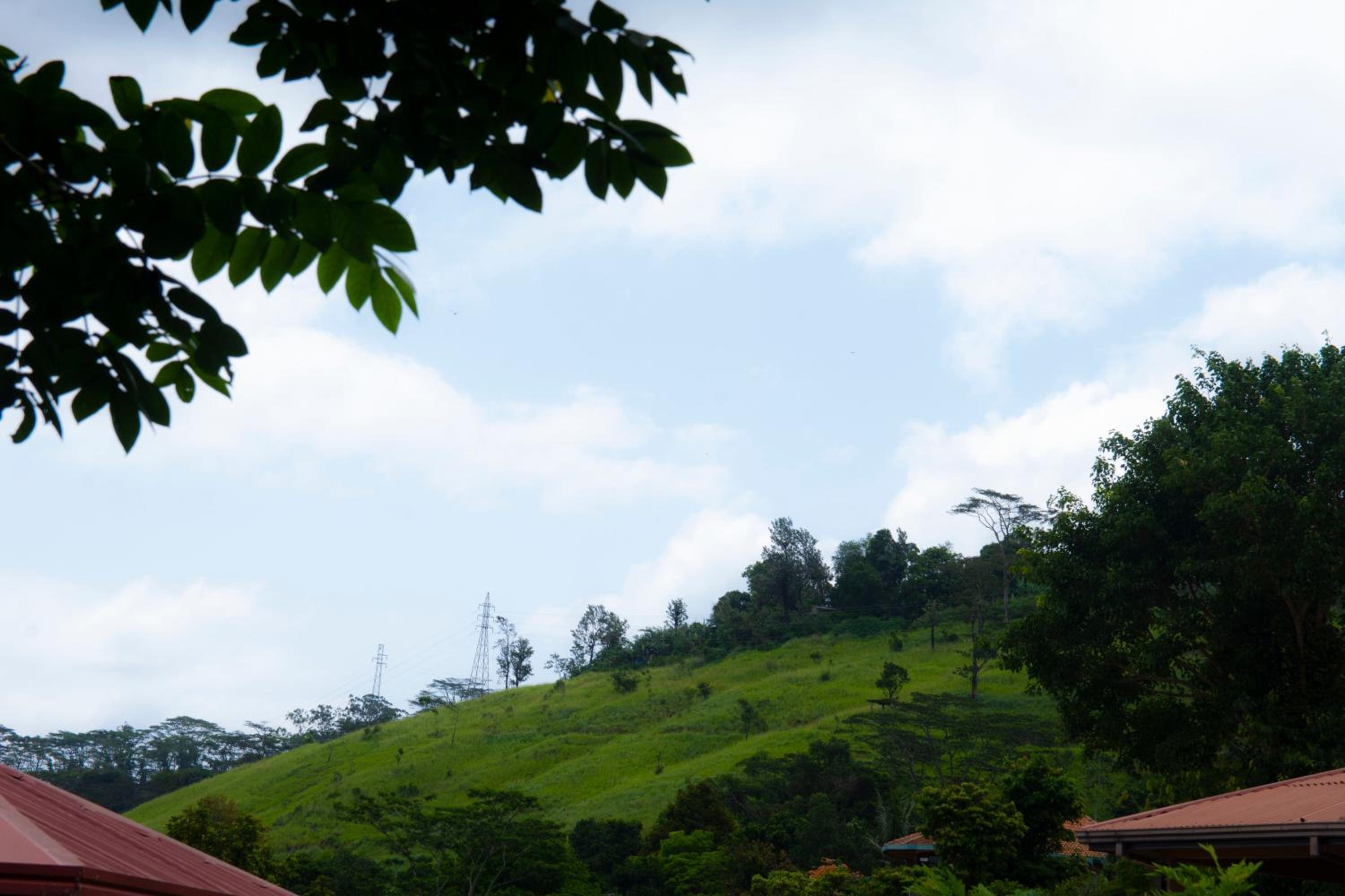 Peaceful Peak