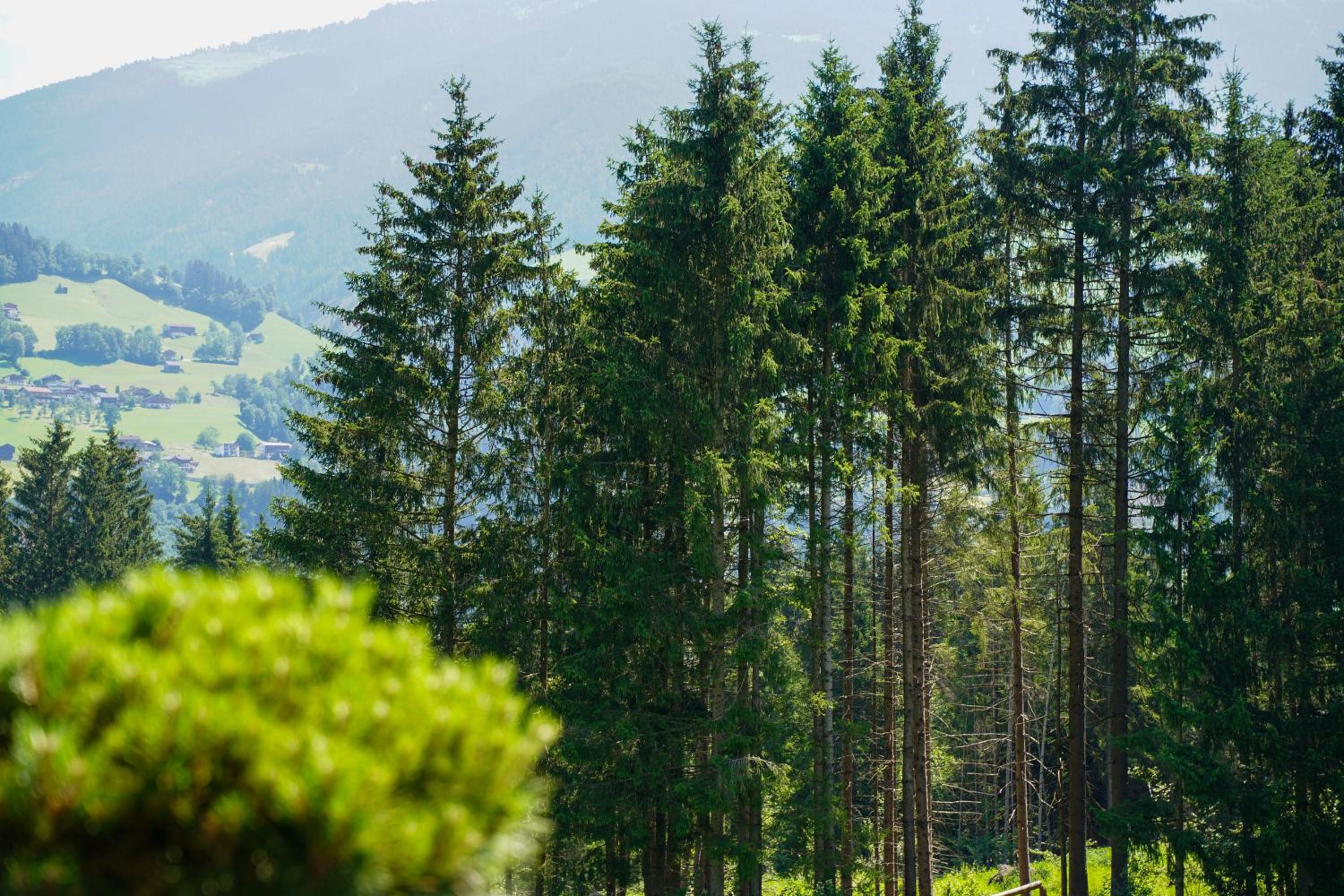 Chalet WildRuh