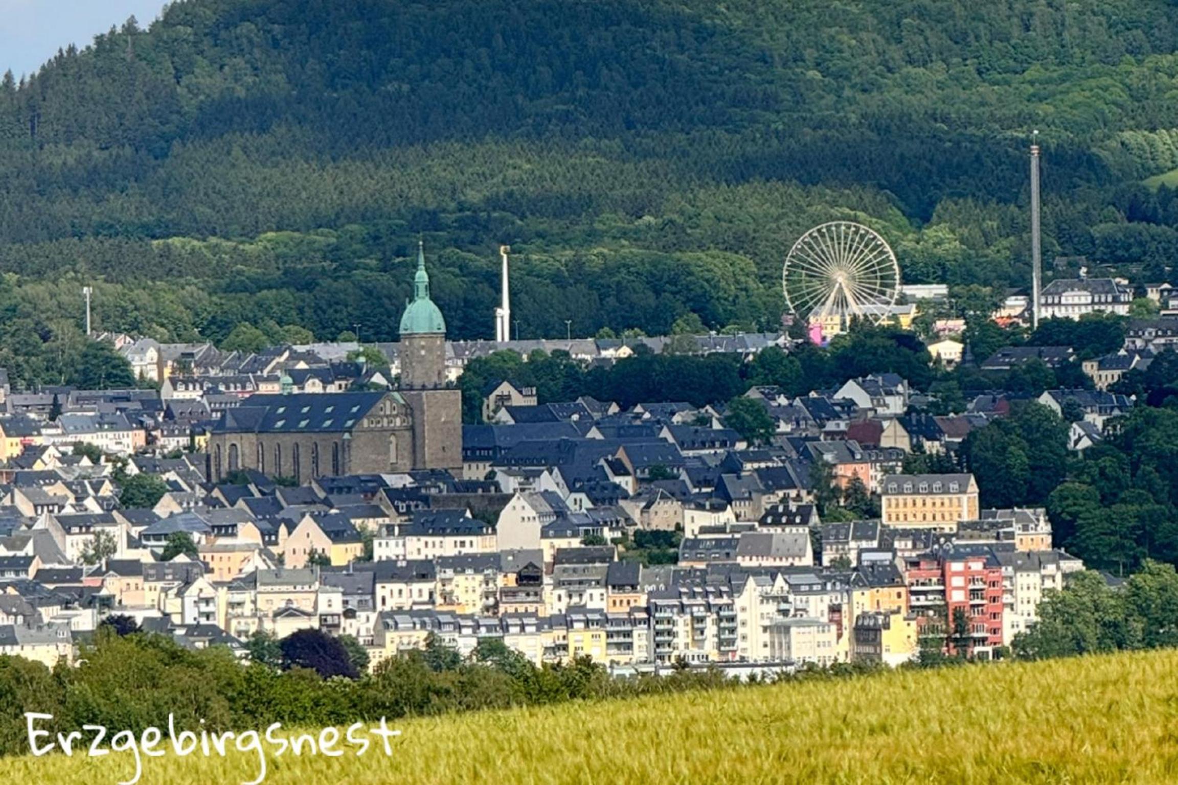 Ferienwohnung Erzgebirgsnest