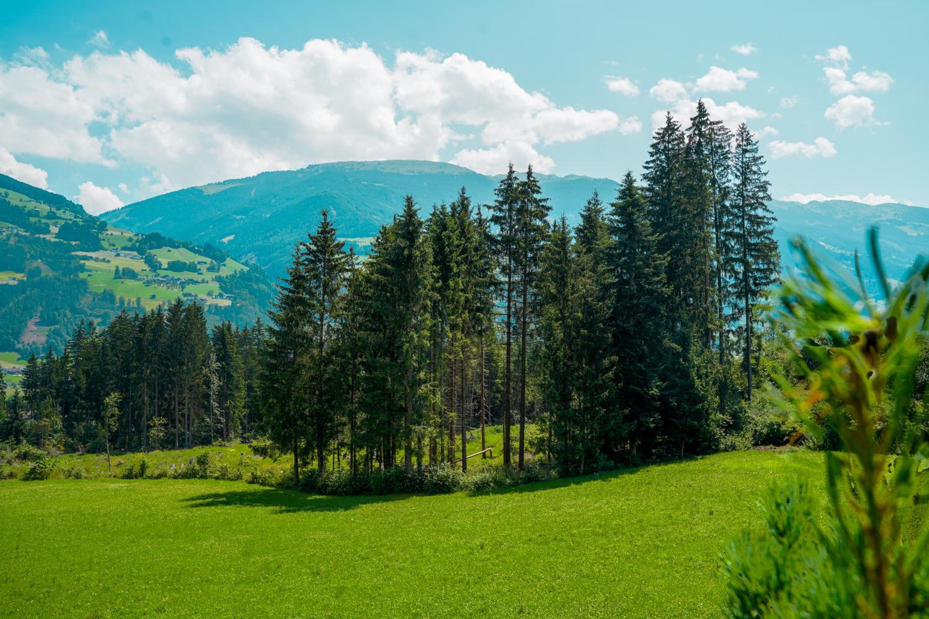 Chalet WildRuh