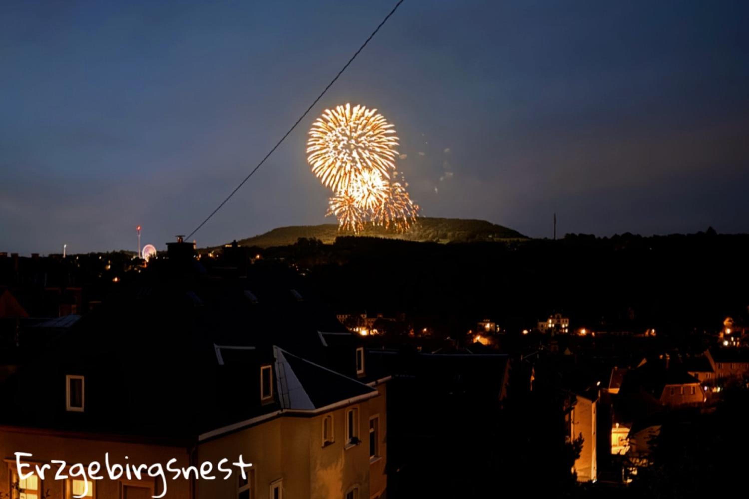 Ferienwohnung Erzgebirgsnest