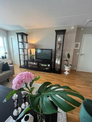 Sandnes Vacations - Leilighet midt i Sentrum - Property Image 6