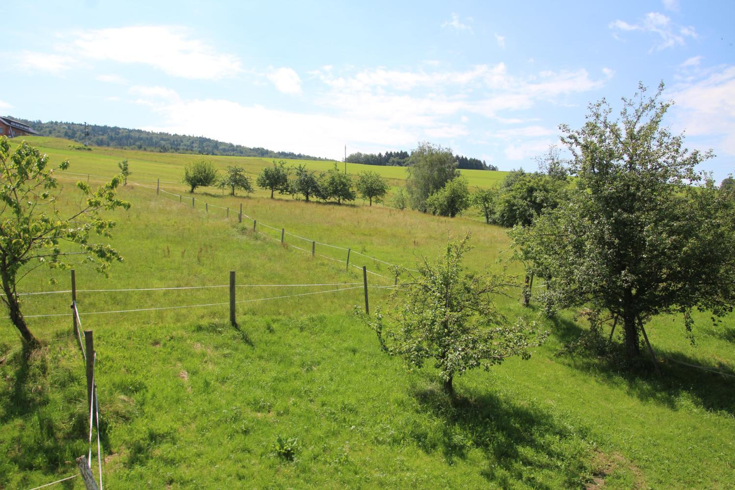 Ferienwohnungen Schlader