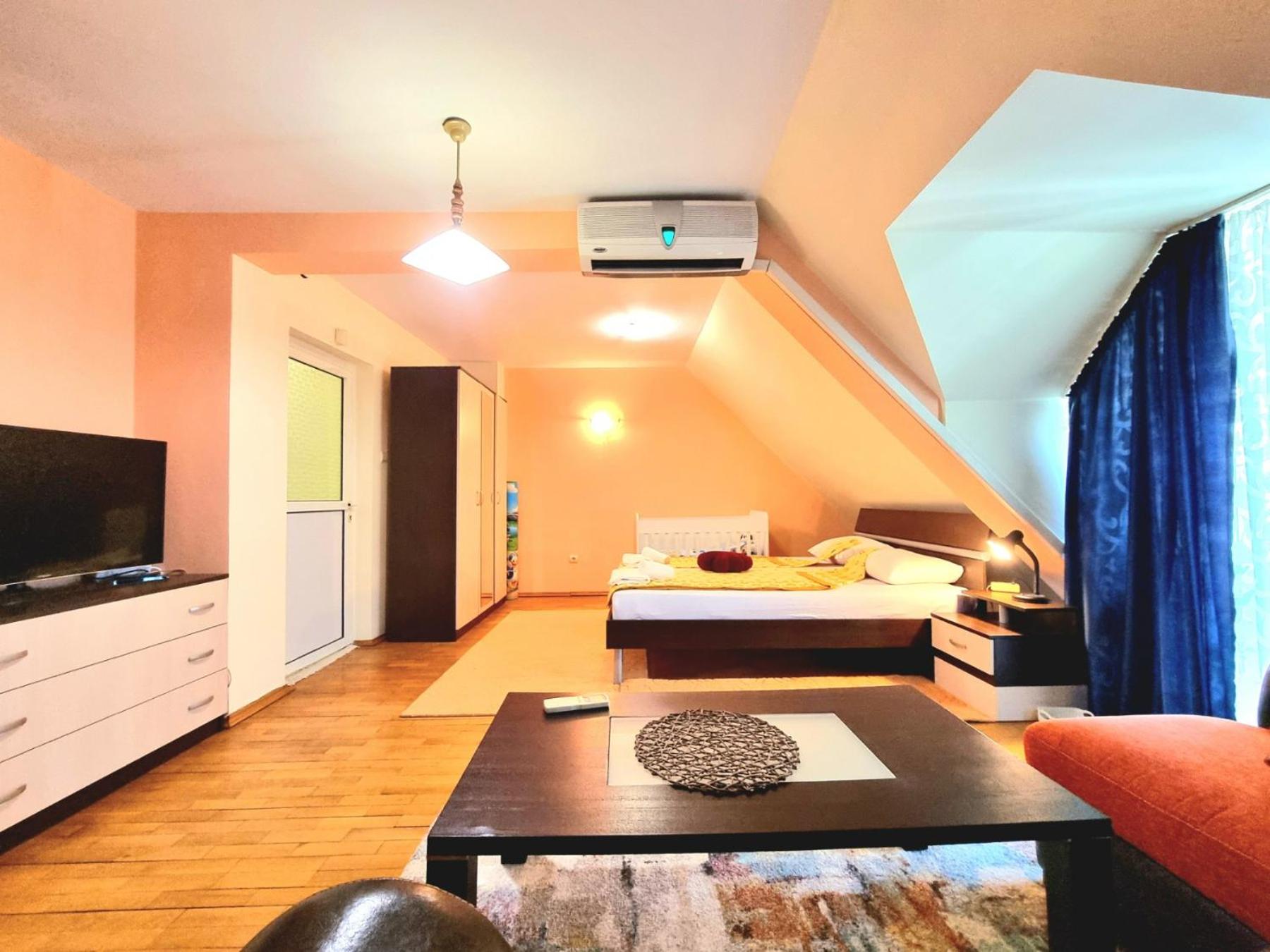 Two-Floor Sunny Apartment in City Centre
