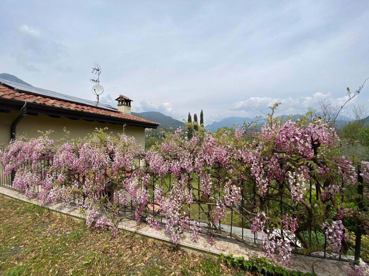 Villa Faro