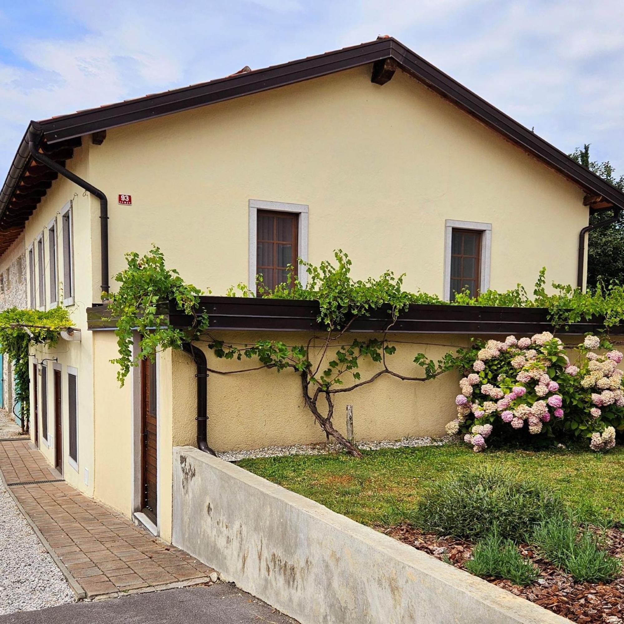 Apartma Kras, photo 7