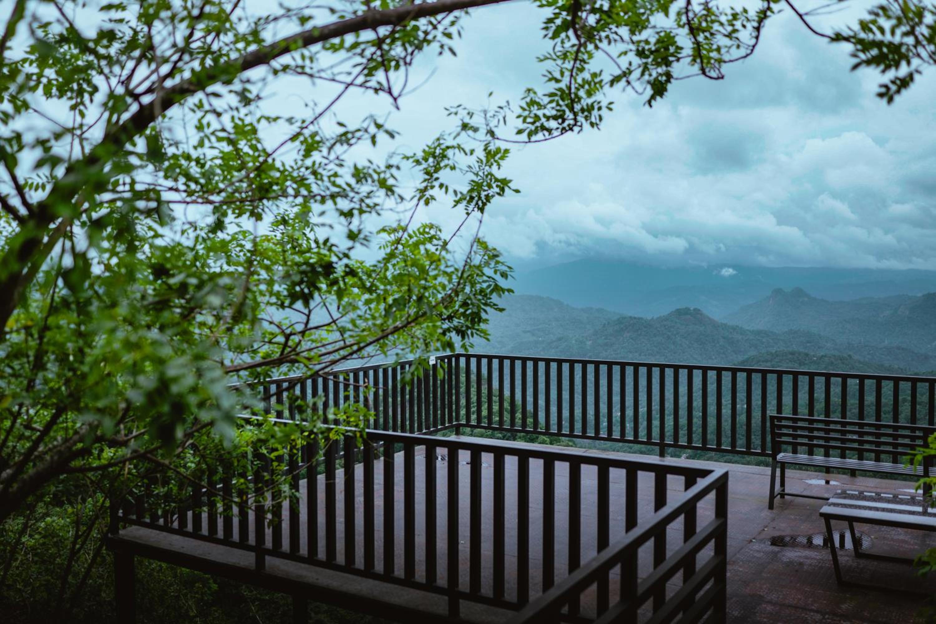 Munnar Vacations - Haze and Kites Resort Munnar - Property Image 88