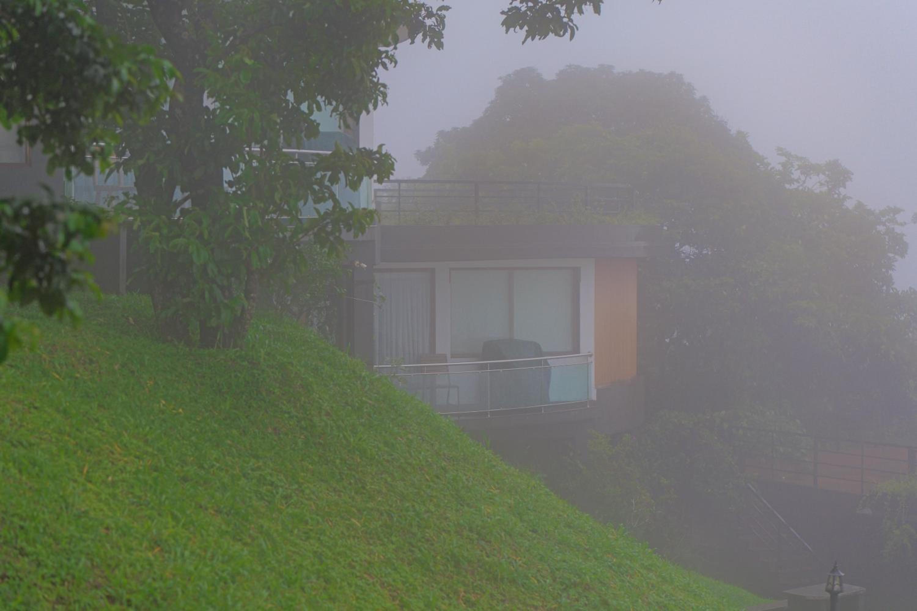 Munnar Vacations - Haze and Kites Resort Munnar - Property Image 110