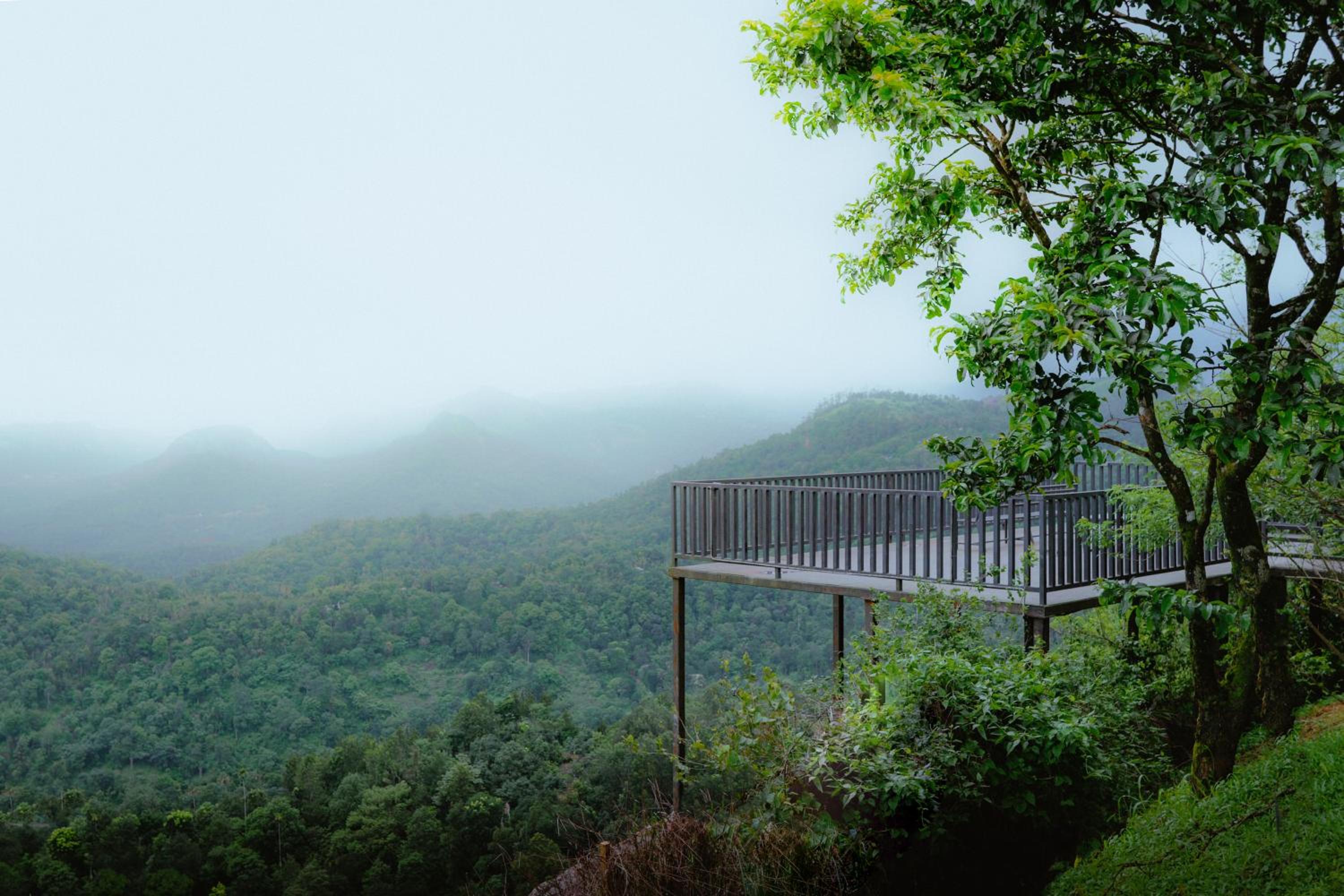 Munnar Vacations - Haze and Kites Resort Munnar - Property Image 105