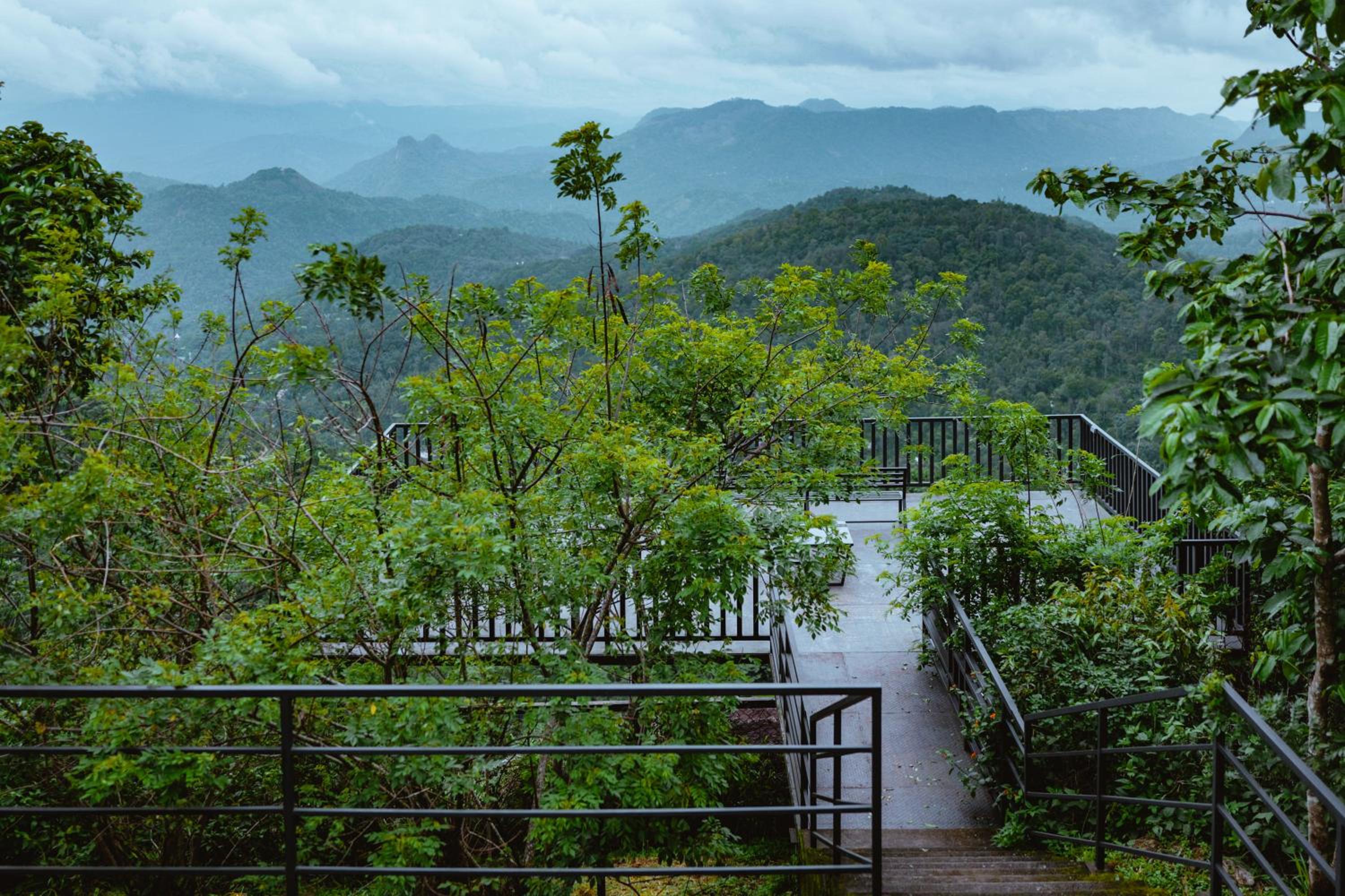 Munnar Vacations - Haze and Kites Resort Munnar - Property Image 87