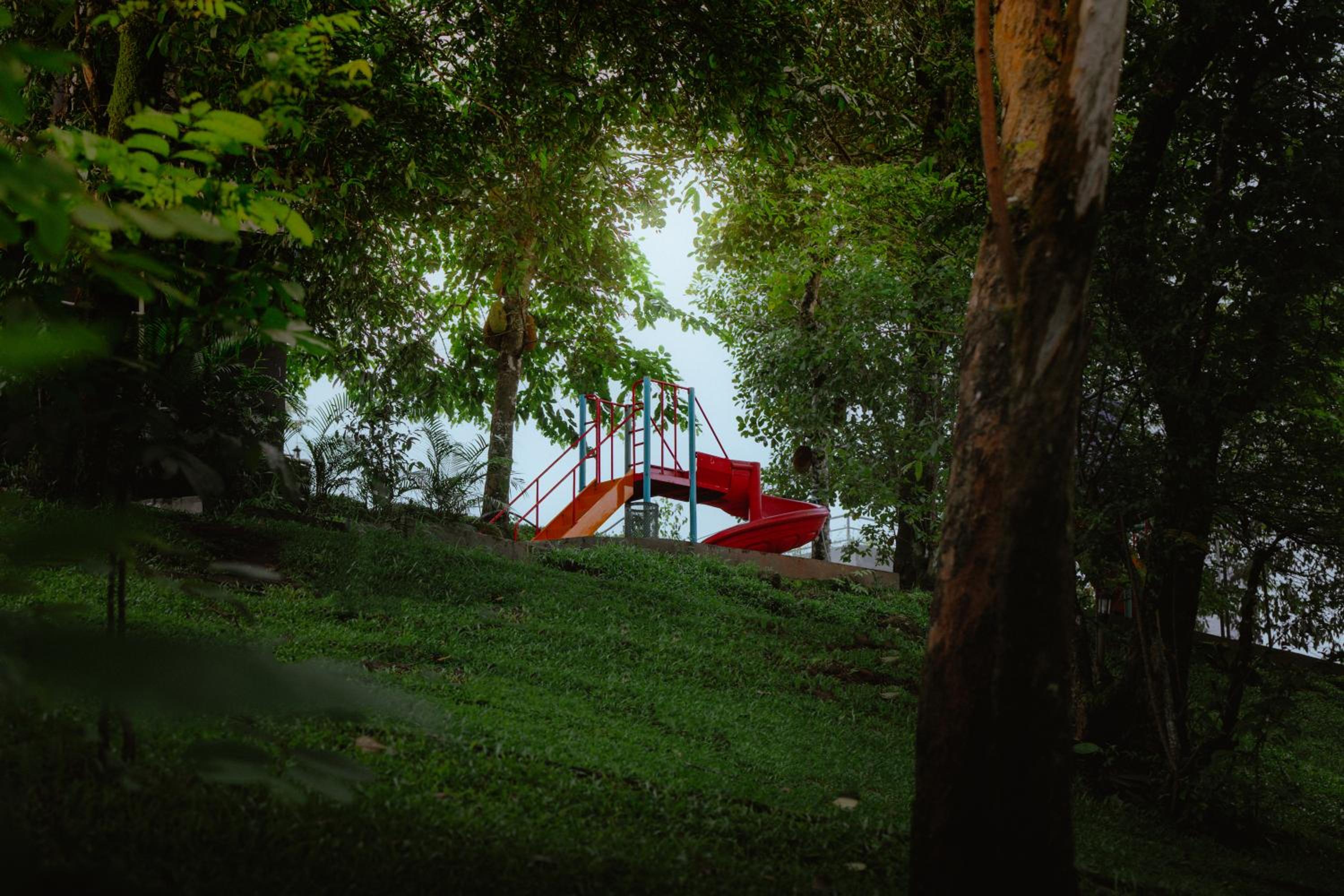 Munnar Vacations - Haze and Kites Resort Munnar - Property Image 9