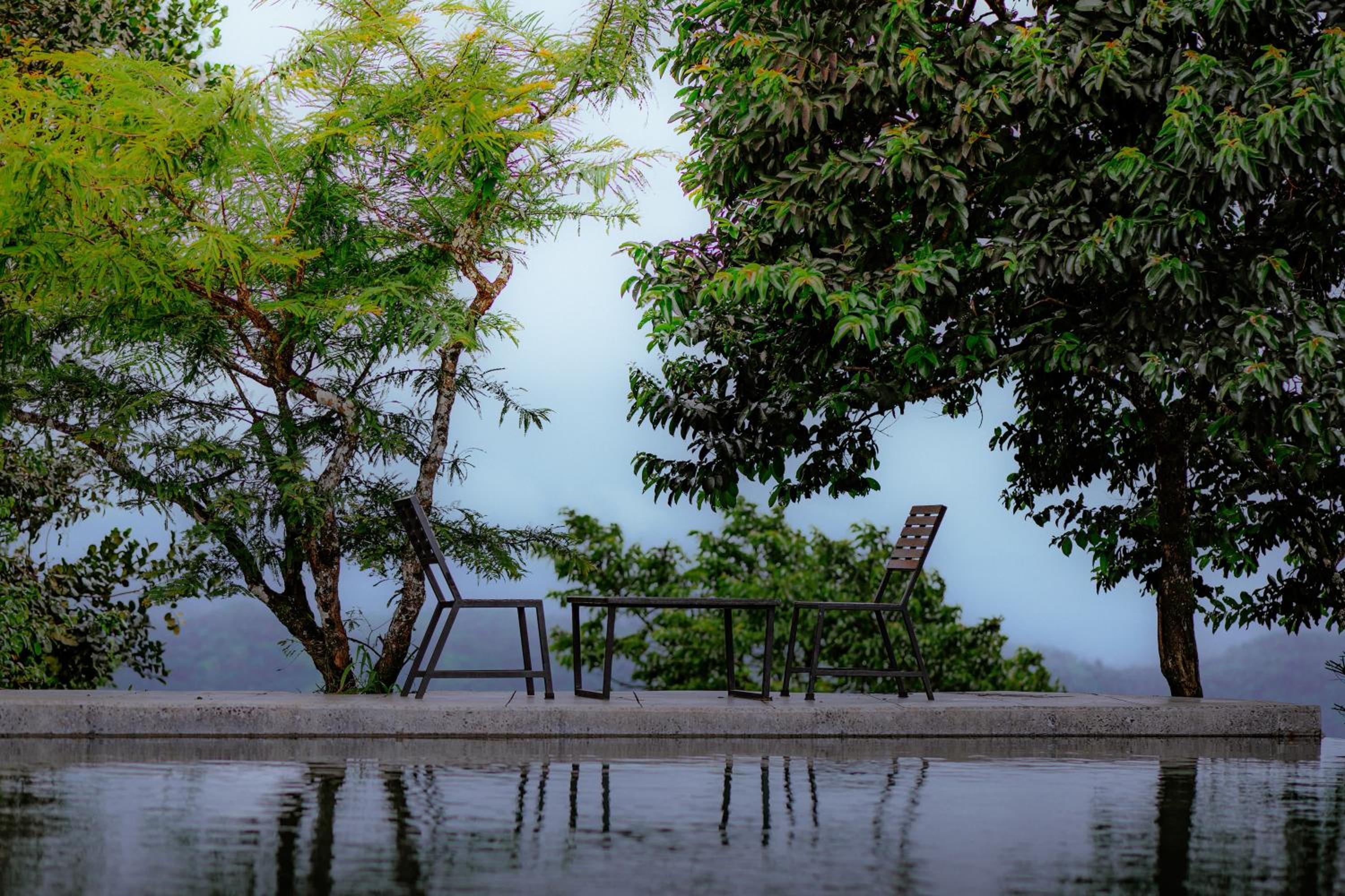Munnar Vacations - Haze and Kites Resort Munnar - Property Image 119