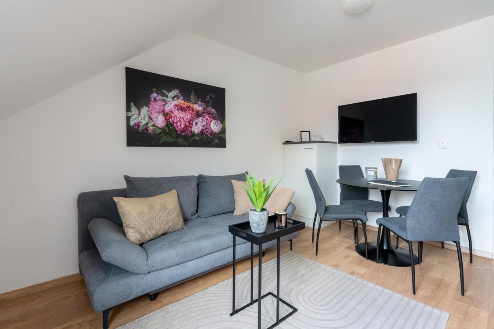 FarawayHomes Studio Graz #4