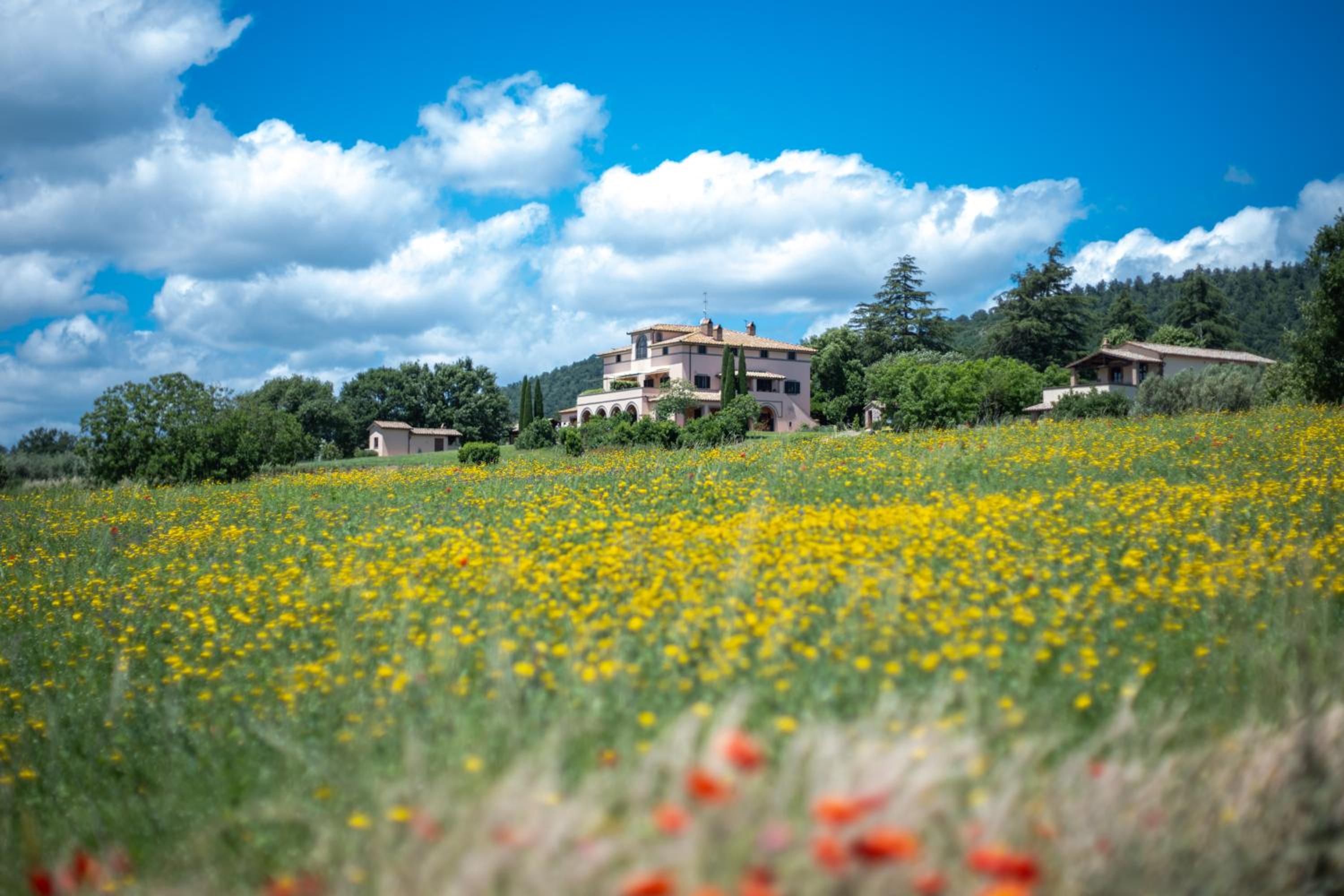 Poderaccio Agri Relais & Restaurant Lago di Bolsena view 3