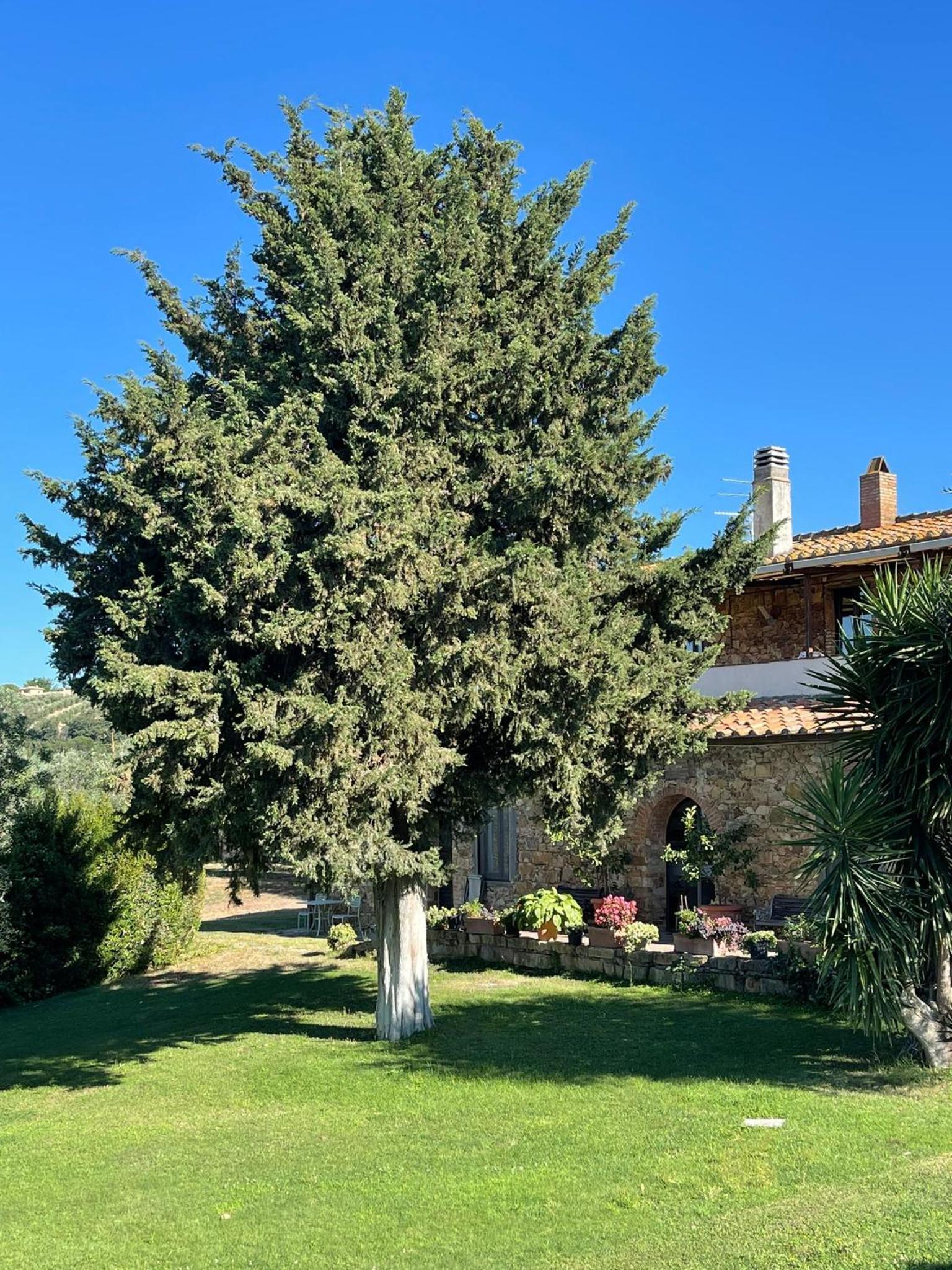 Tenuta Campospillo