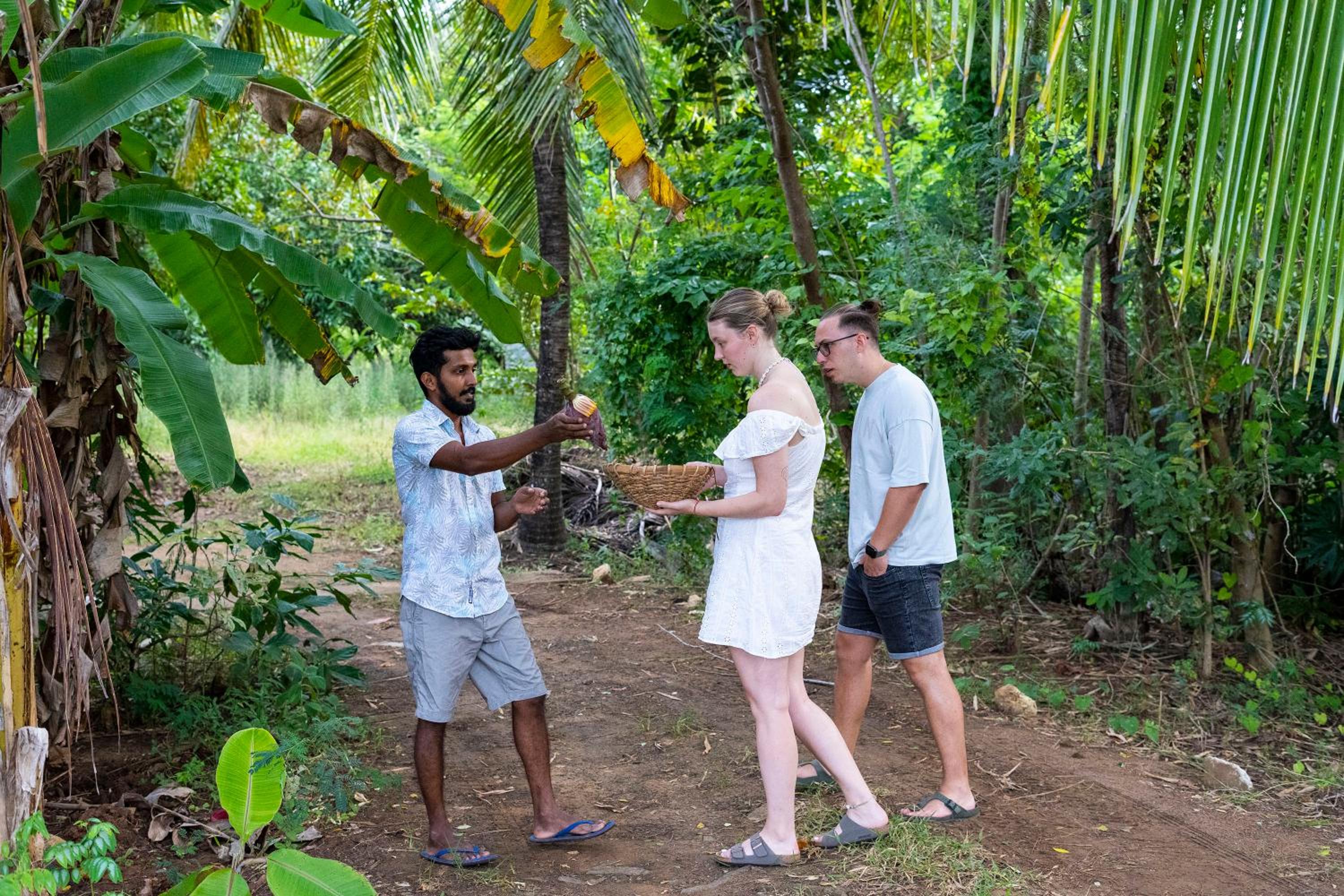 River paradise safari house - cooking class available view 5