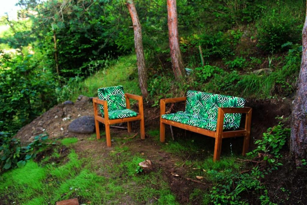 Forest Suite Bungalov