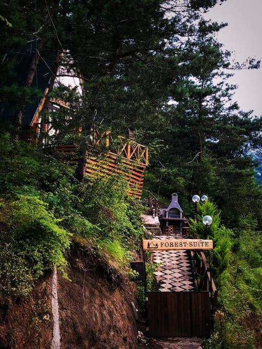 Forest Suite Bungalov
