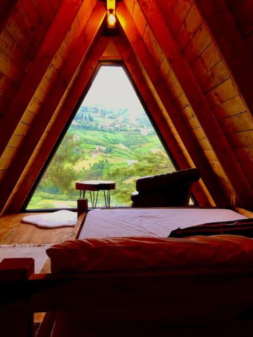 Forest Suite Bungalov
