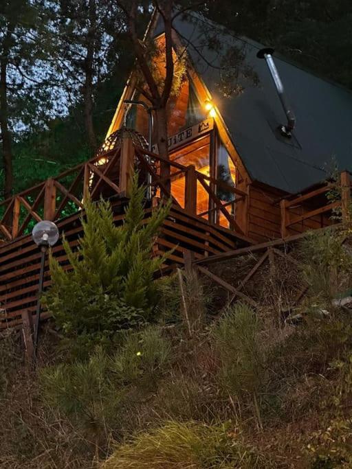 Forest Suite Bungalov