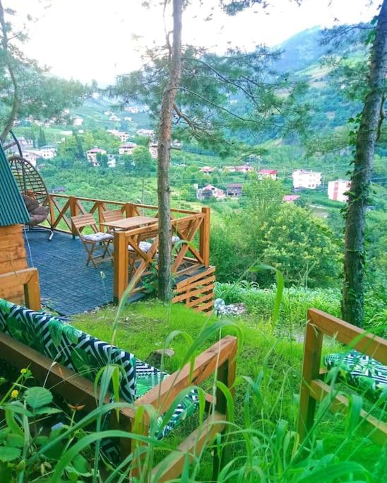 Forest Suite Bungalov