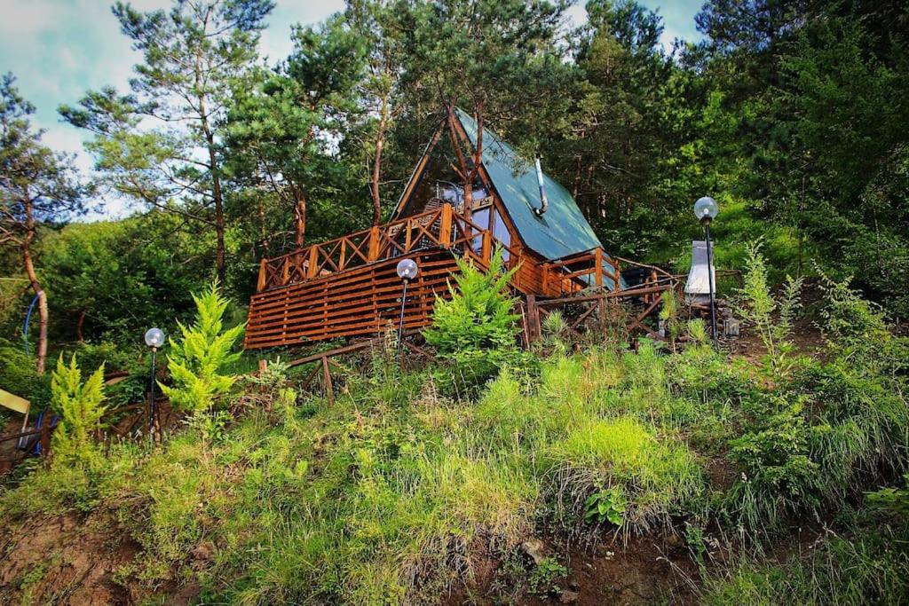 Forest Suite Bungalov