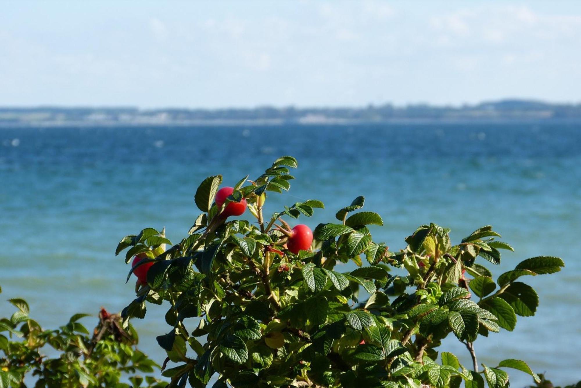 Landhaus Ferien Ostsee