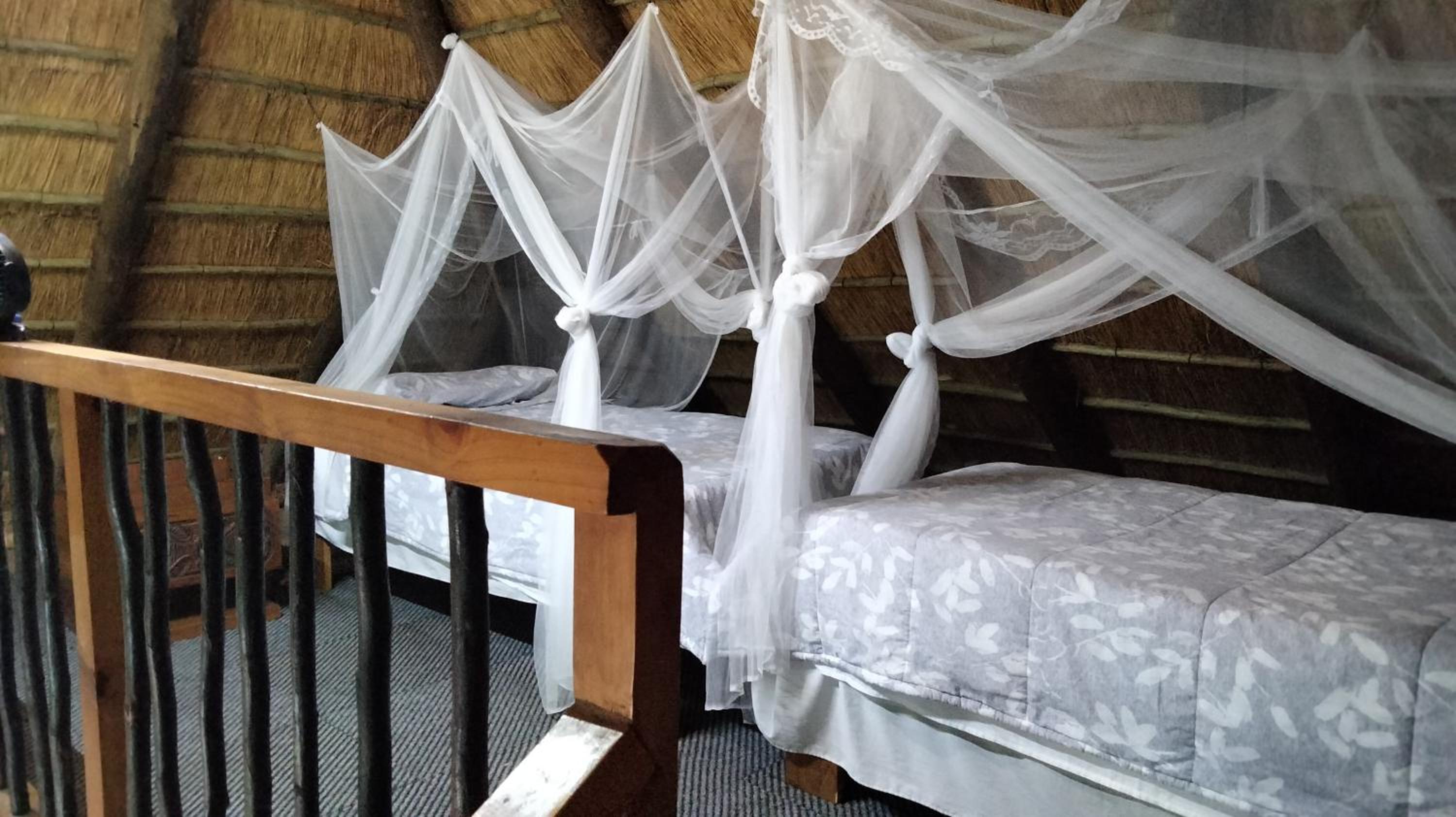 Shongili Island Lodge