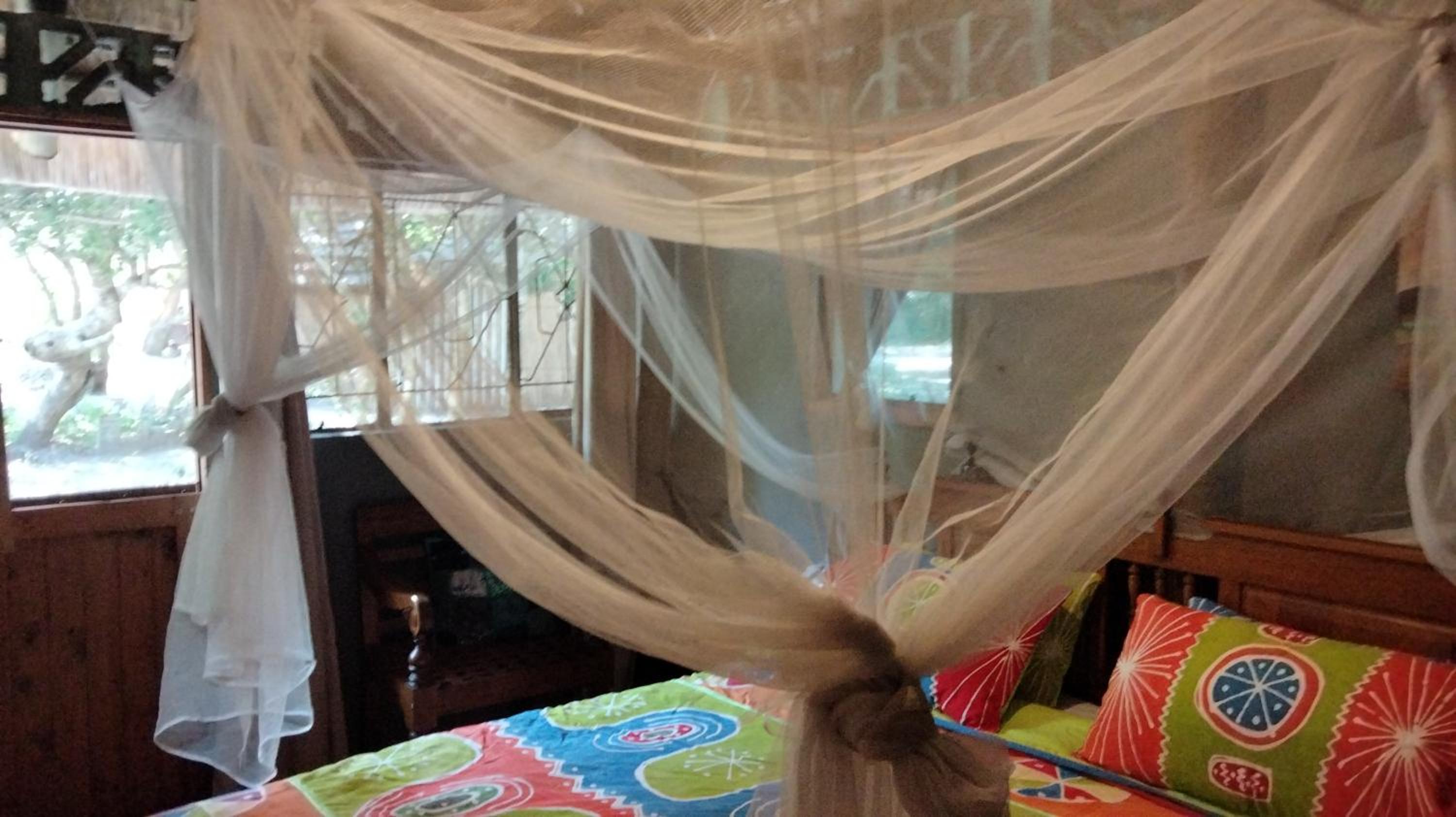 Shongili Island Lodge