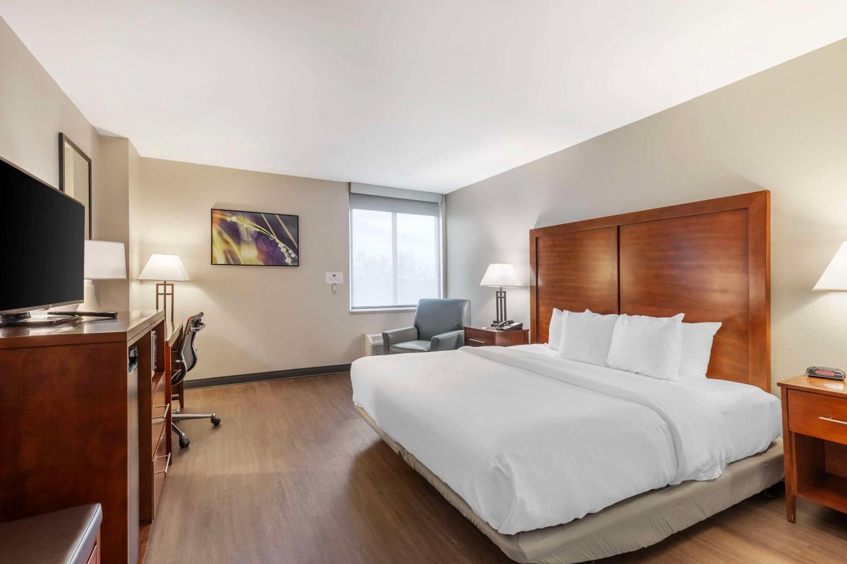Comfort Inn Conference Center - Property Image 25