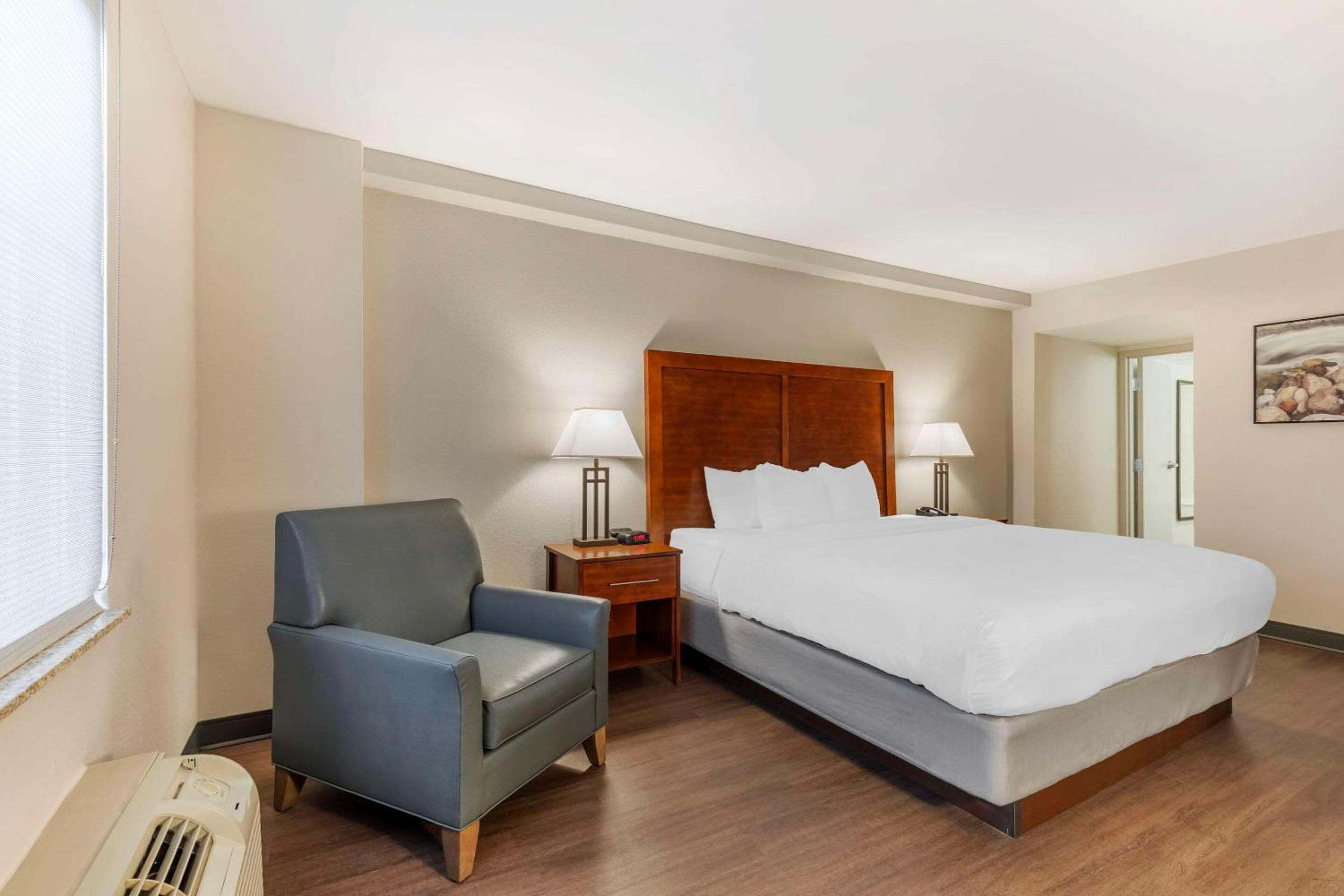 Comfort Inn Conference Center - Property Image 23