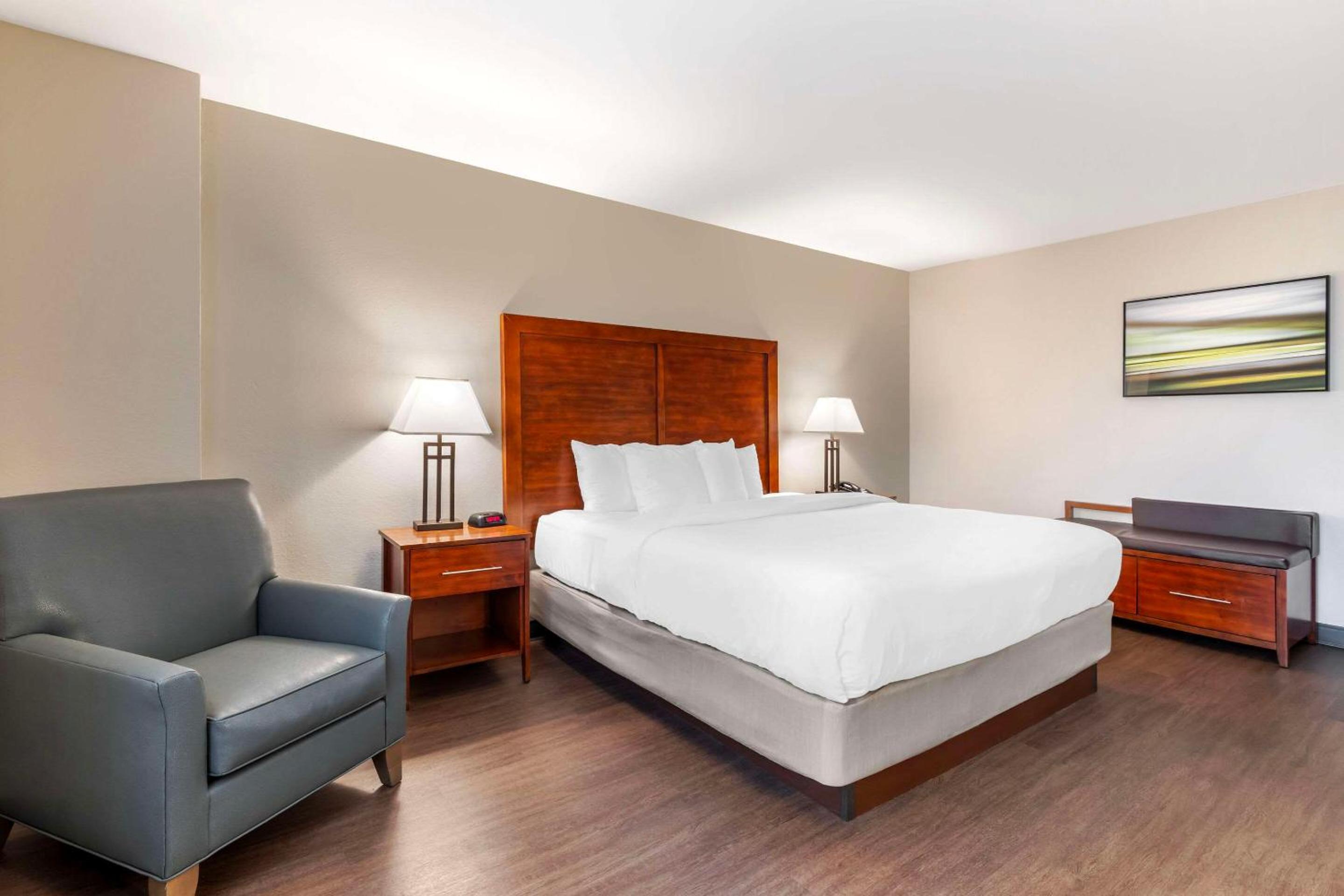Comfort Inn Conference Center - Property Image 17