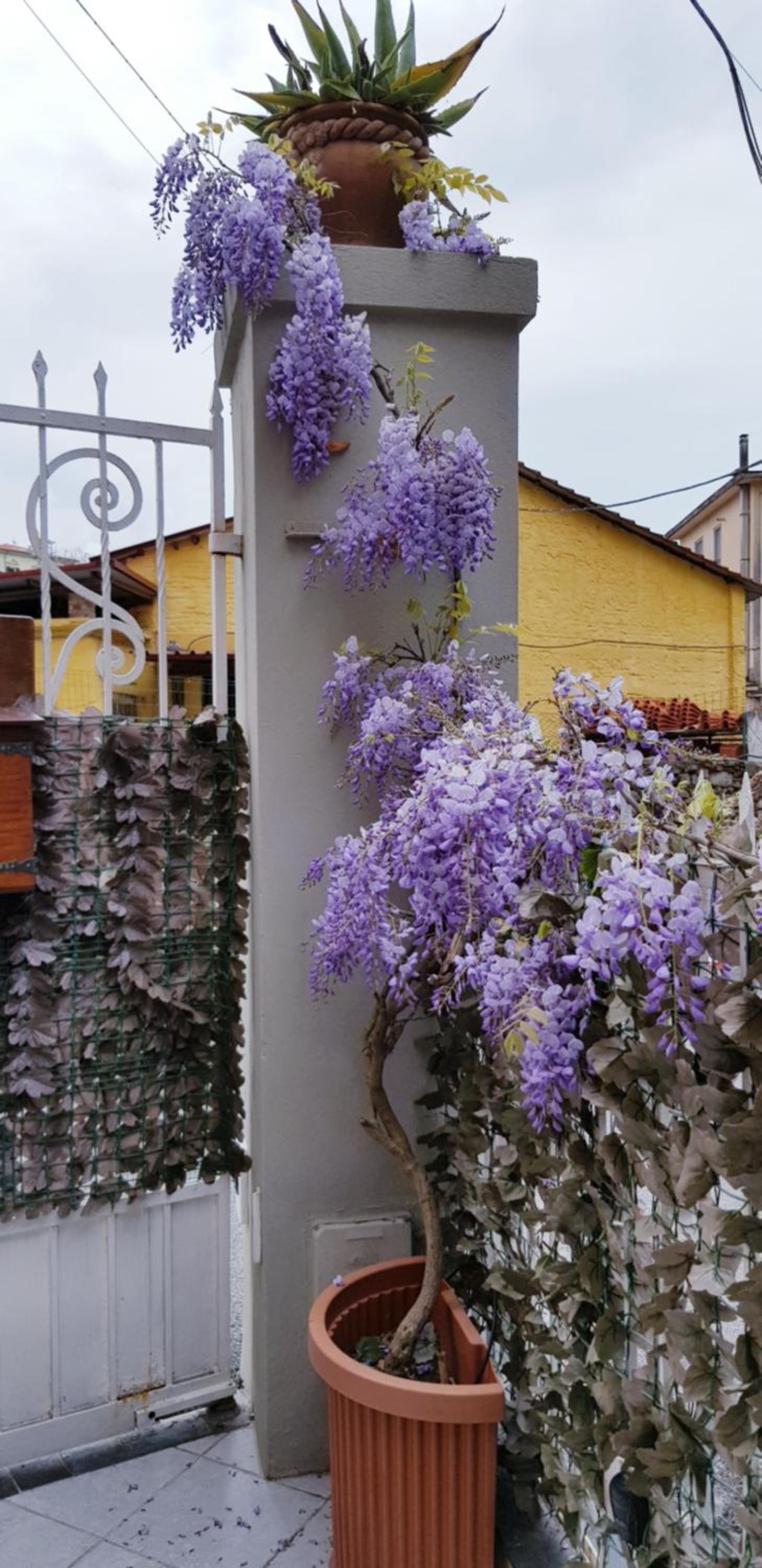 La mini casa photo 3