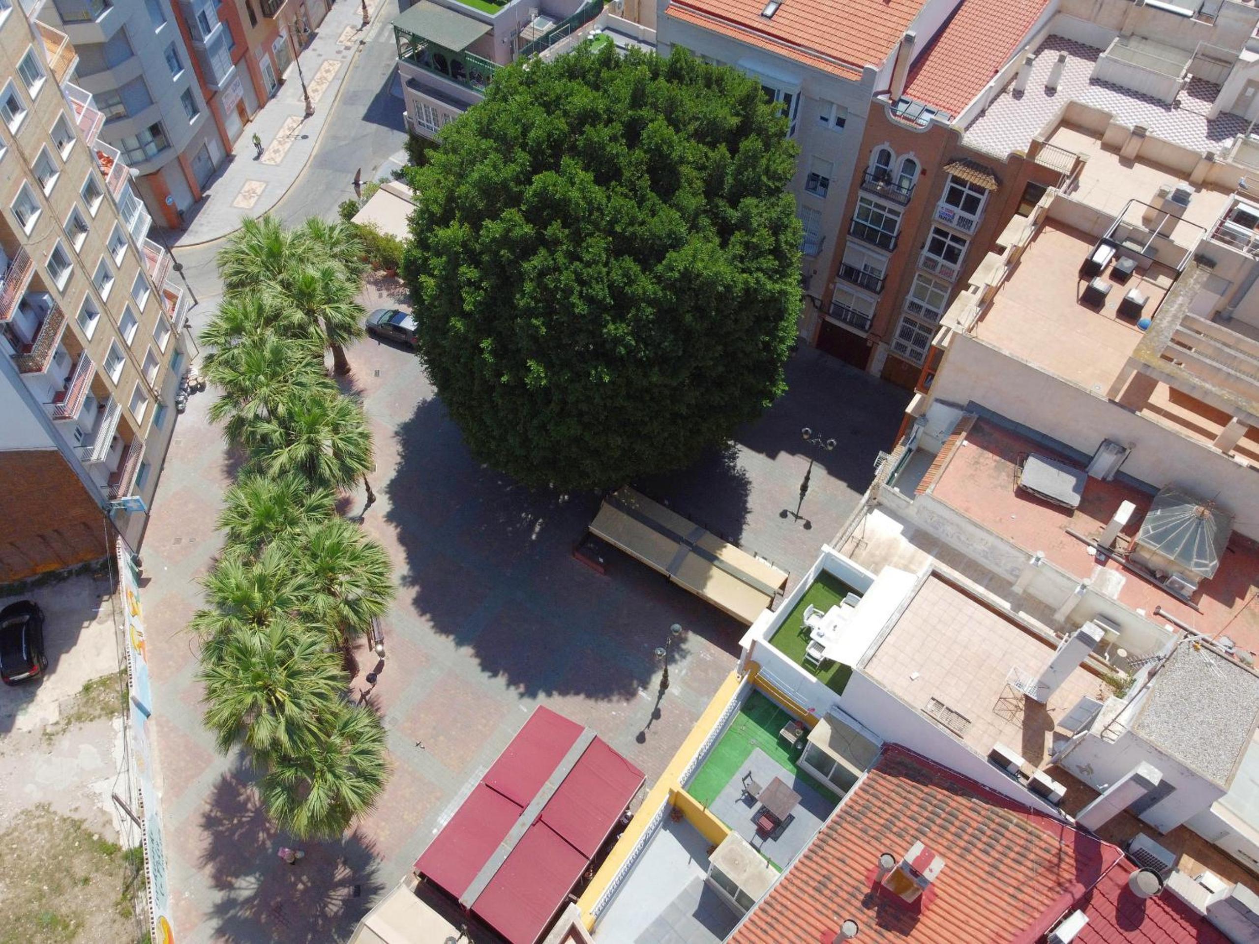Apartamentos Nuevo Edificio Alba Cartagena centro Parking