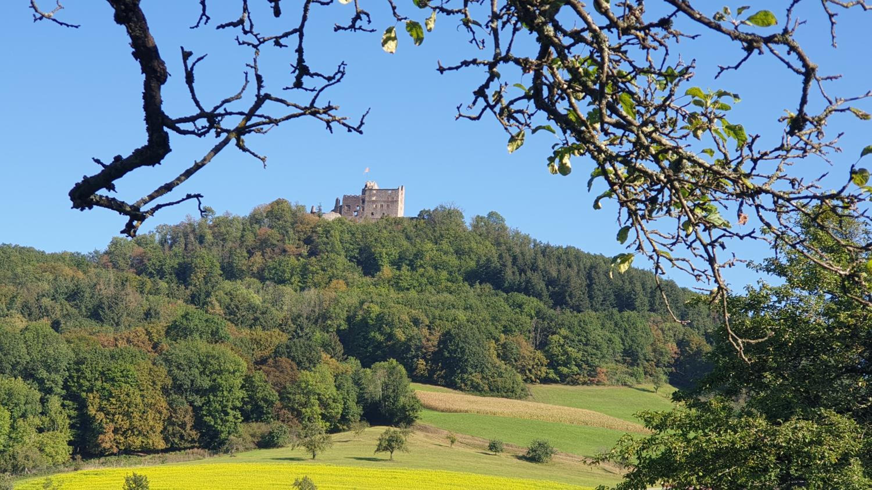 Villa Schwarzwaldblick