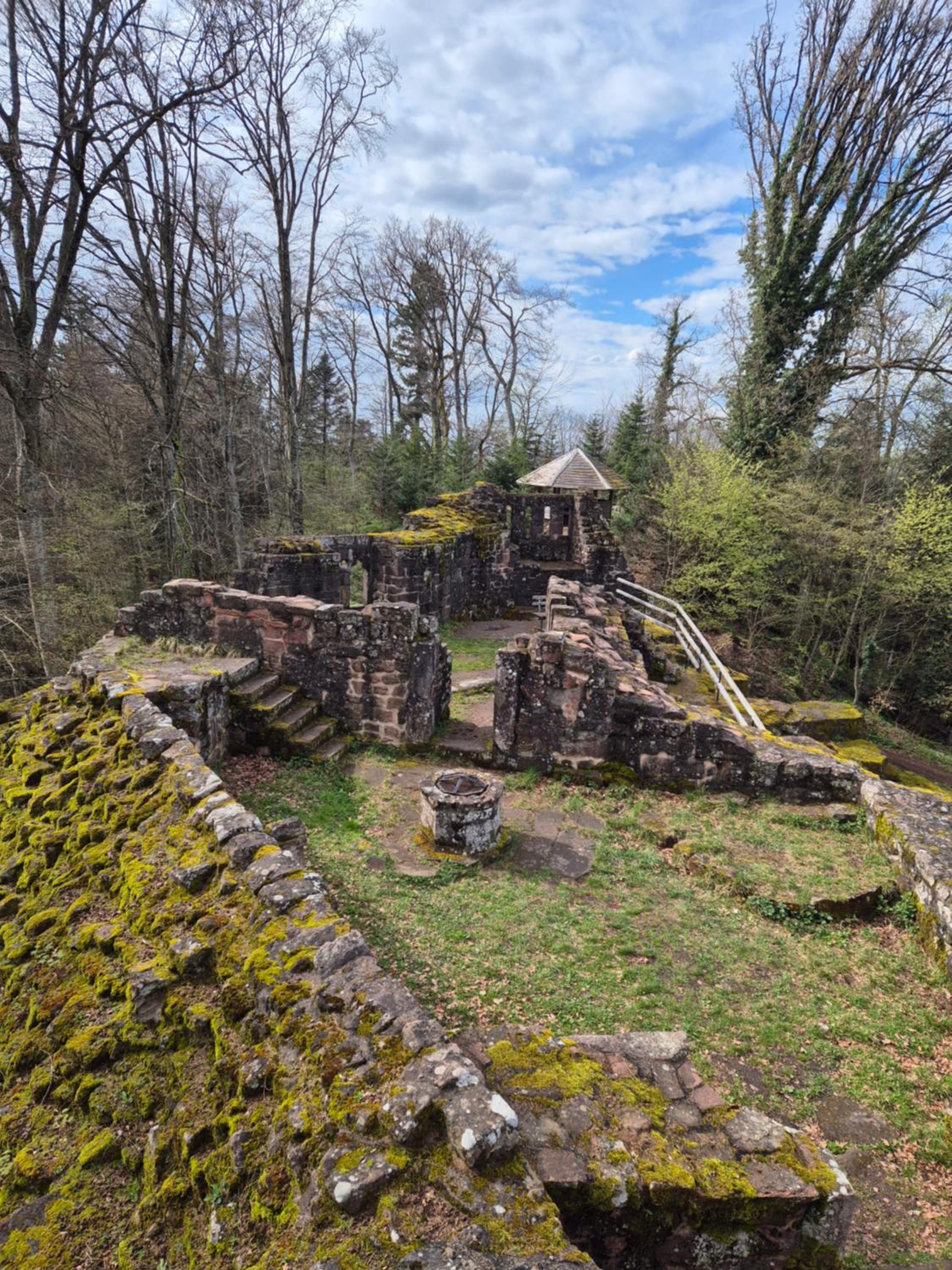 Villa Schwarzwaldblick