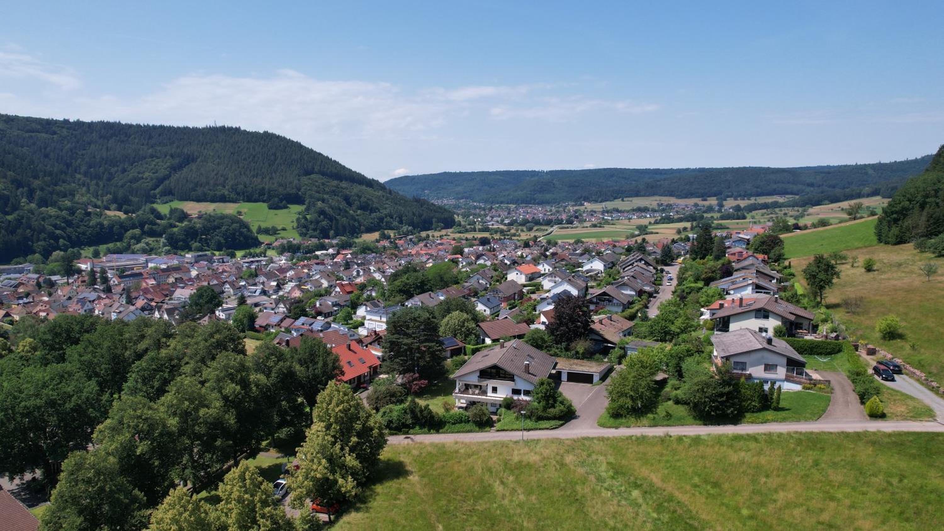 Villa Schwarzwaldblick