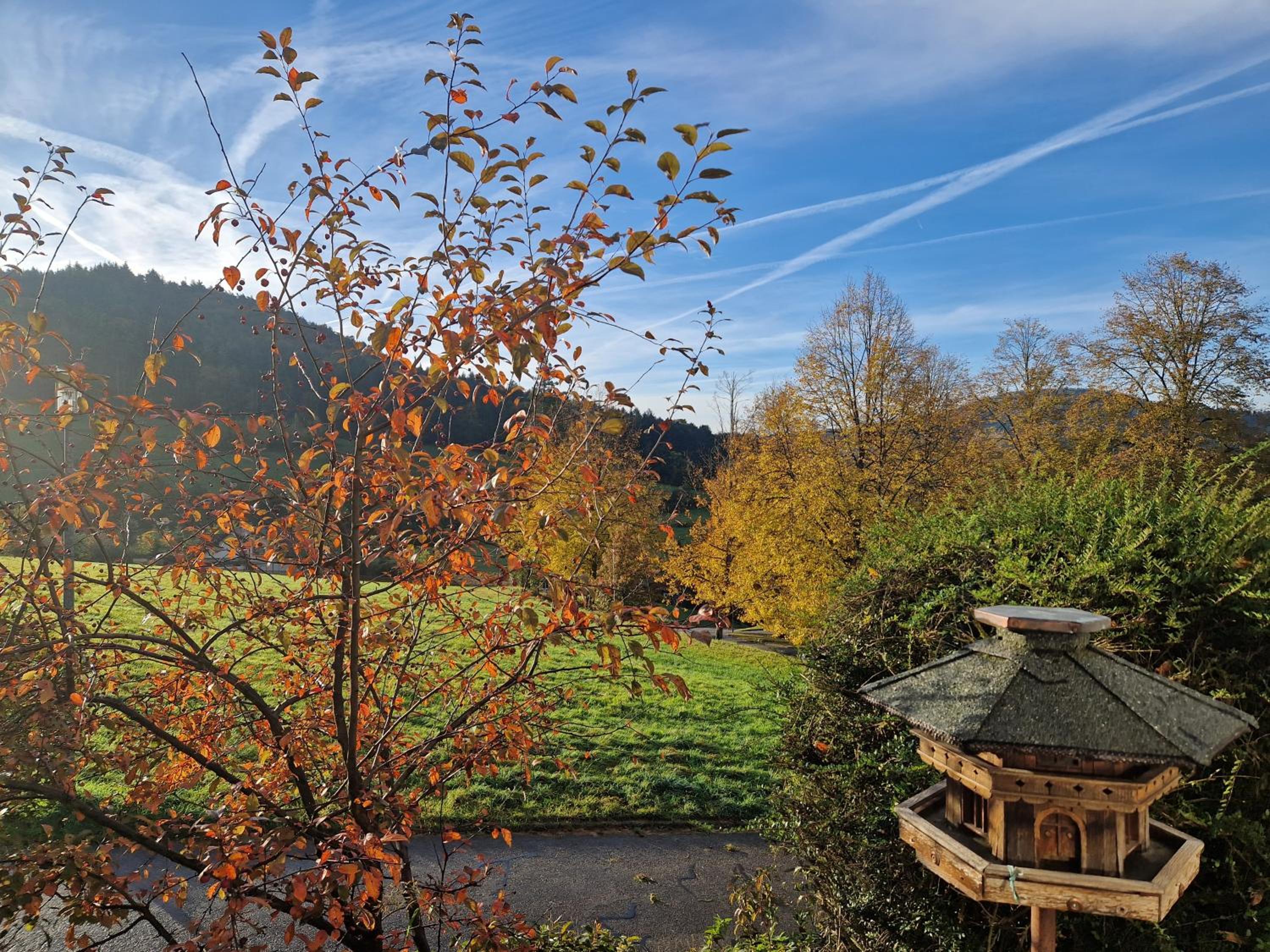 Villa Schwarzwaldblick