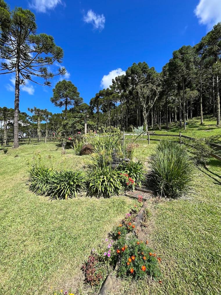 Super Cabana na Montanha I com Ofurô I Alto Padrão